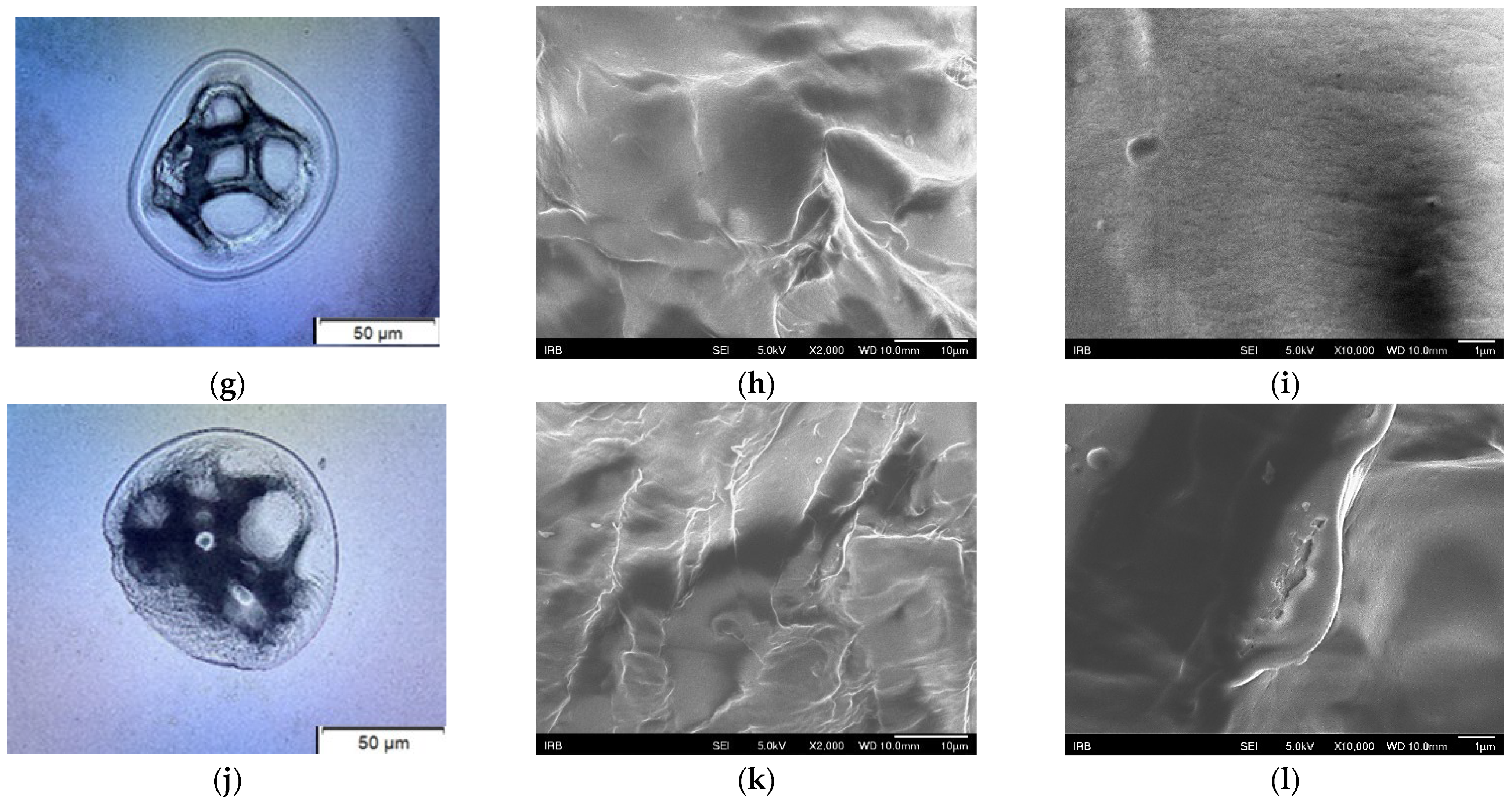 Sustainability 17 11374 g004b