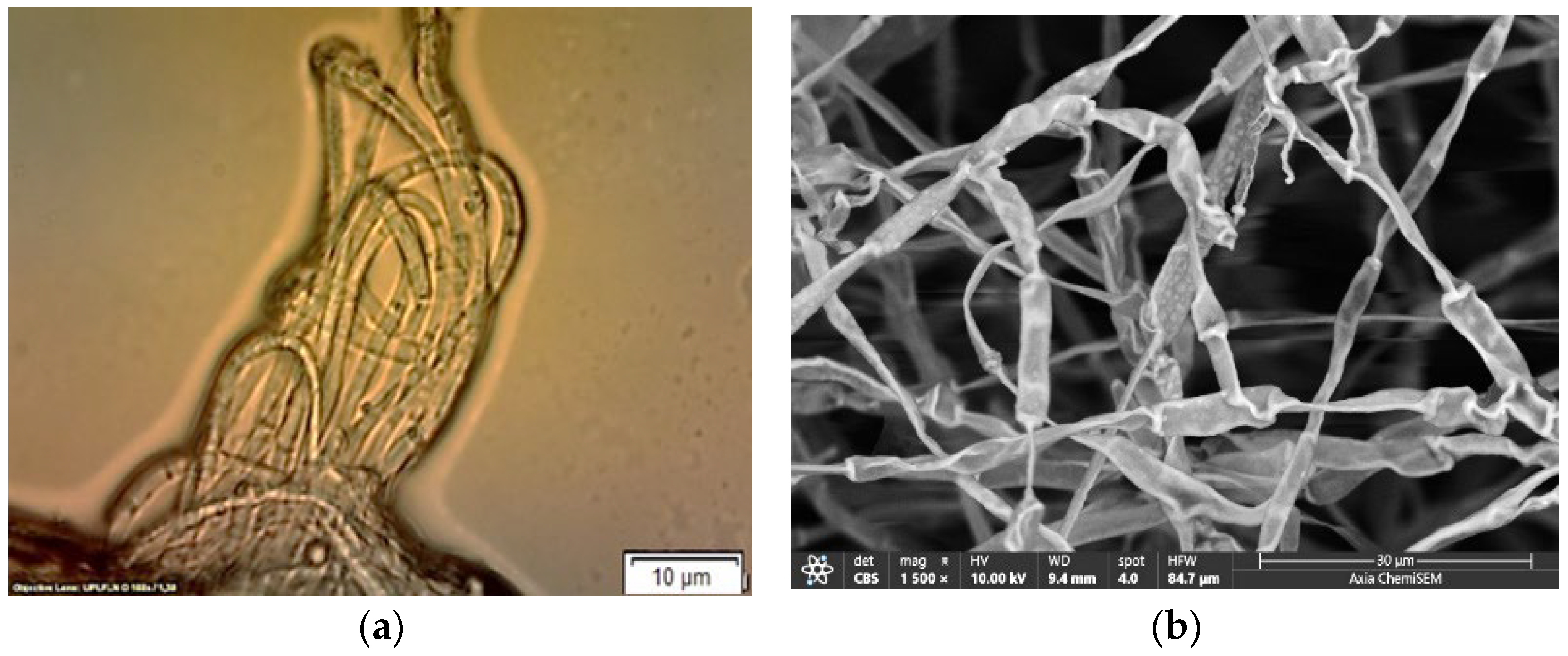 Sustainability 17 11374 g008