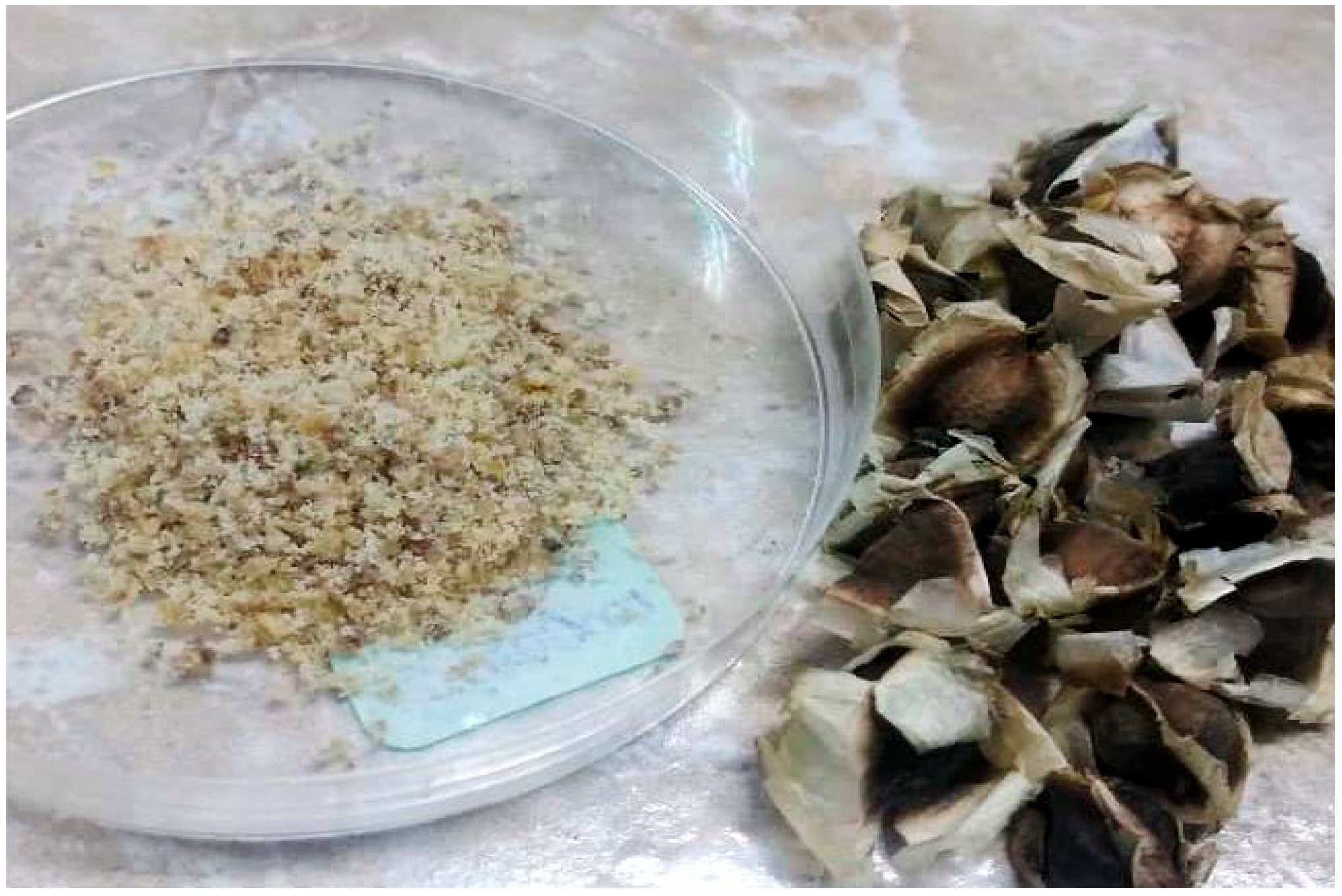 Sustainability 18 00003 g005 Sustainability 18 00003 g005