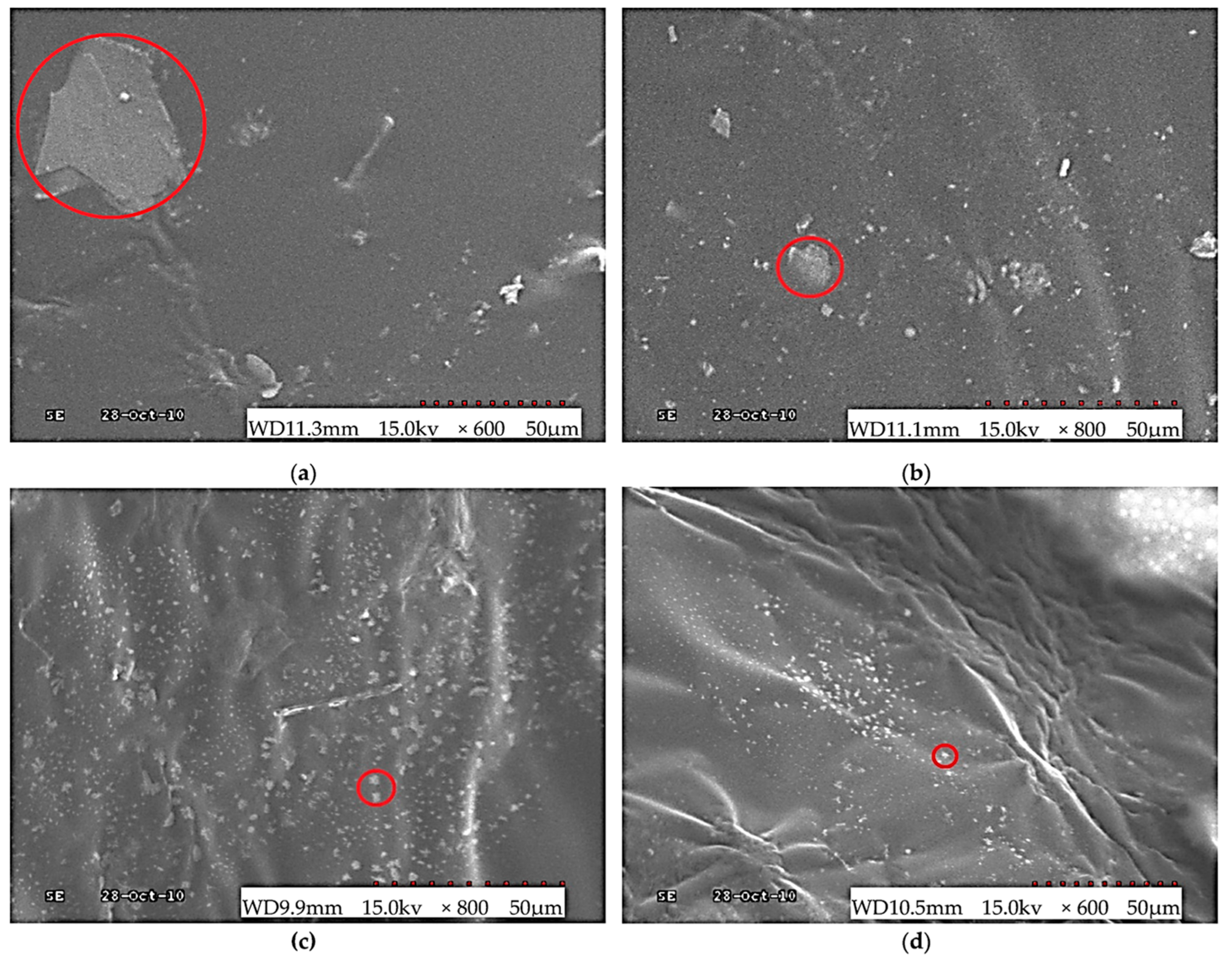 Sustainability 18 00012 g014