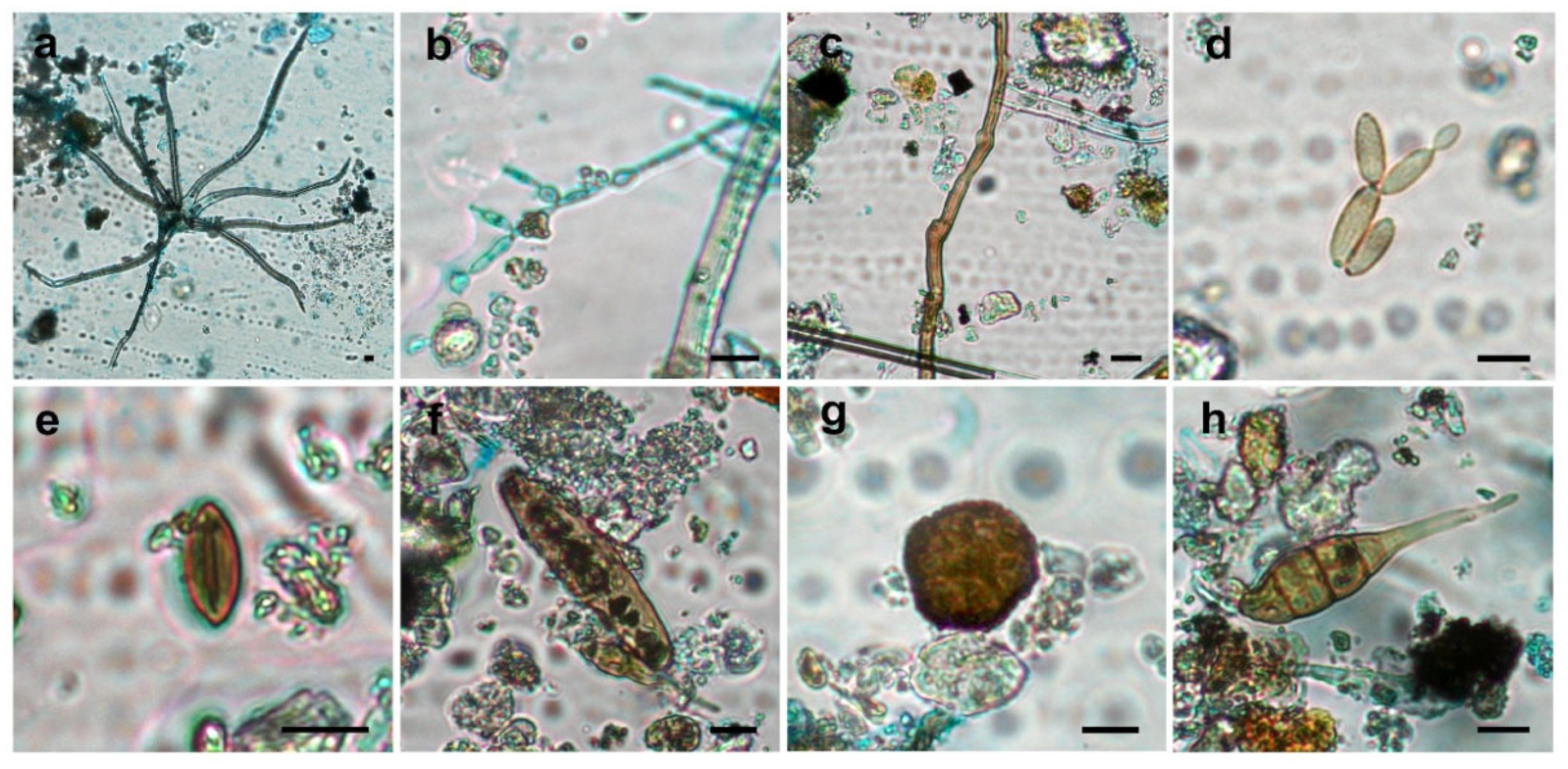 Sustainability 18 00054 g017