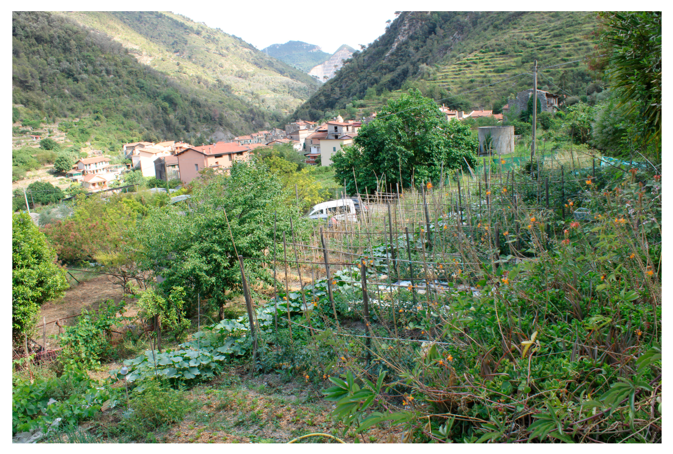 Sustainability 18 00188 g005