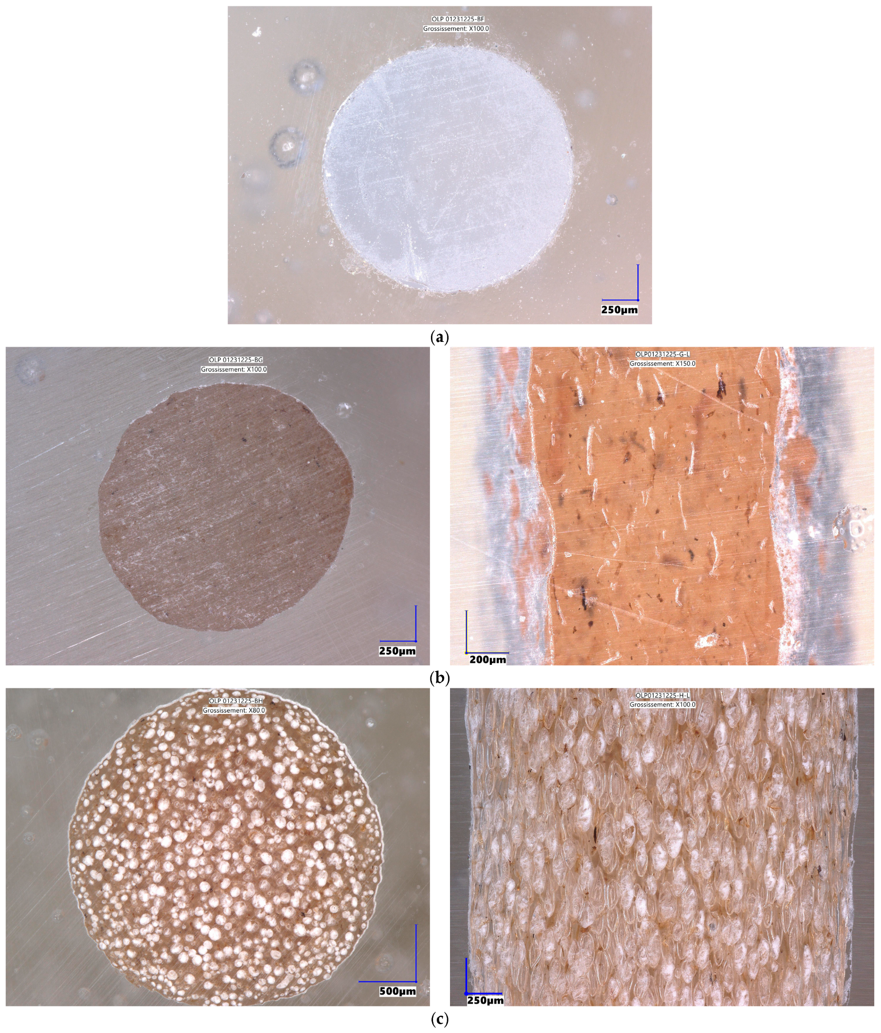 Sustainability 18 00199 g004