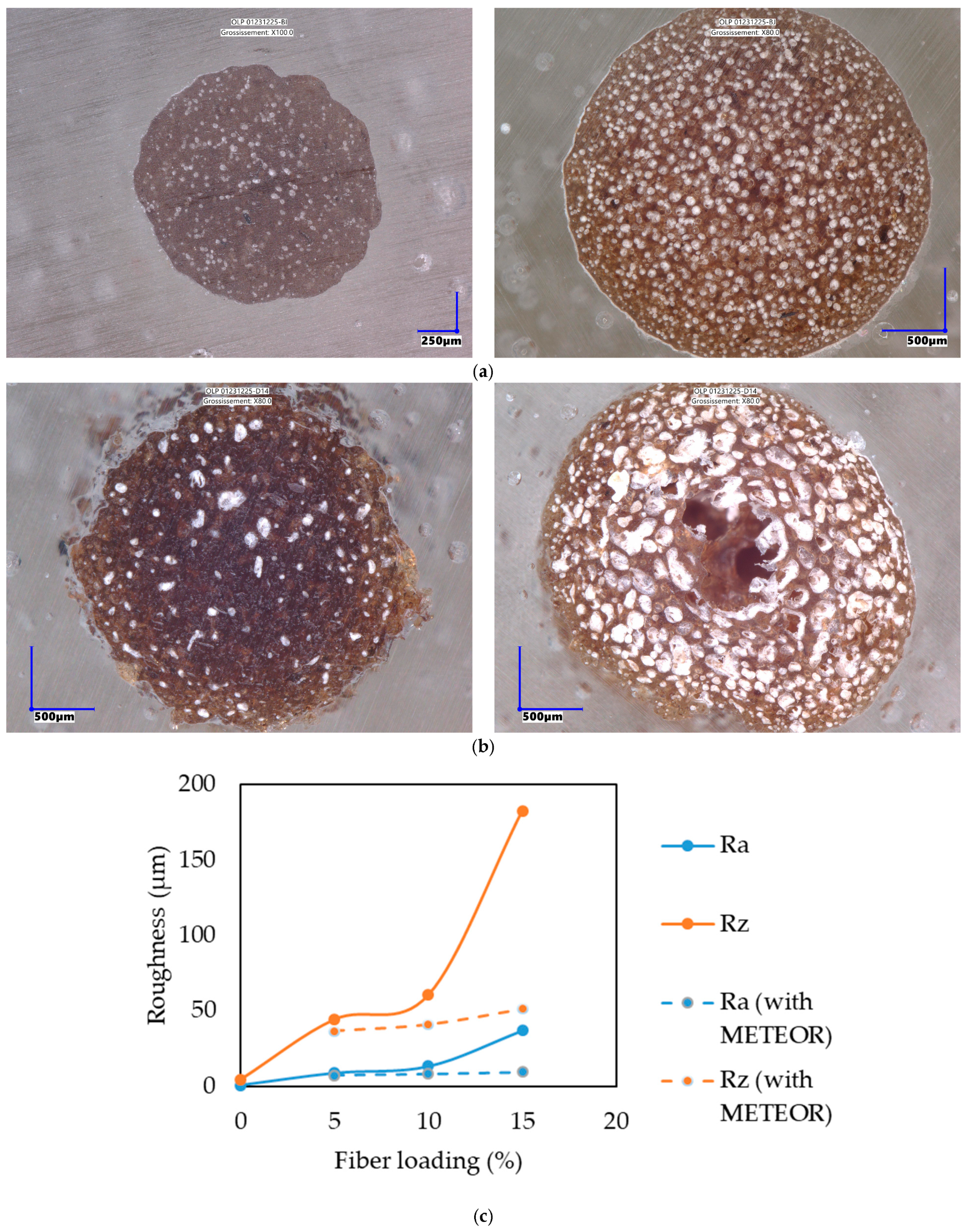 Sustainability 18 00199 g005