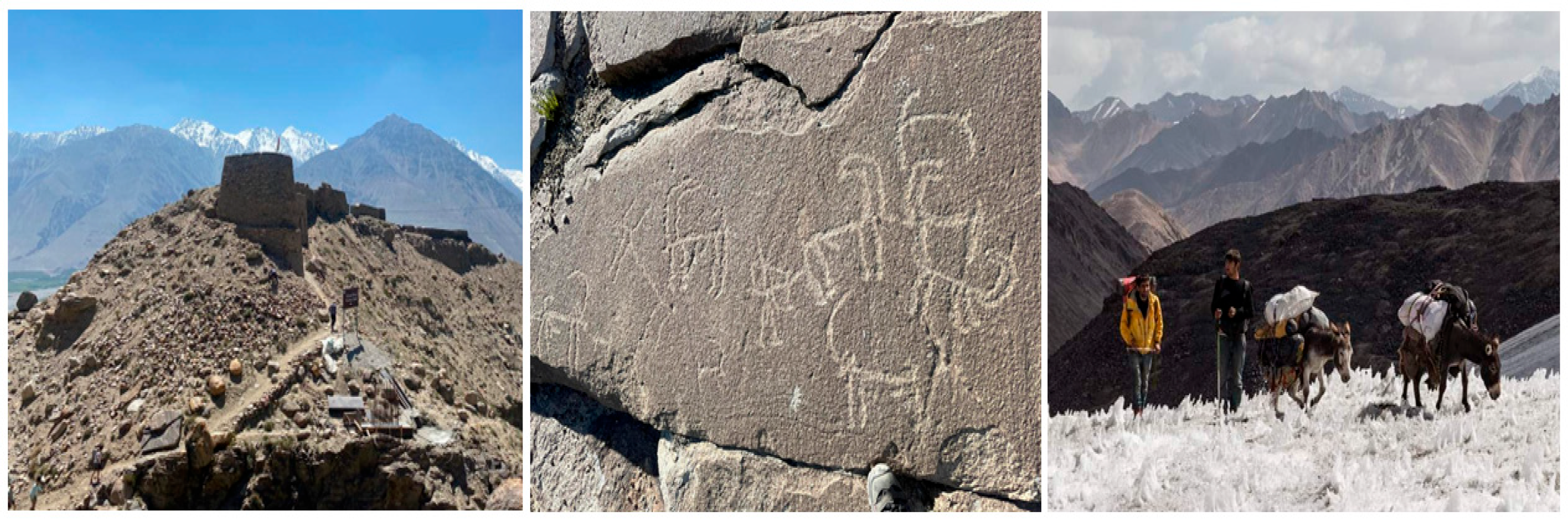 Sustainability 18 00207 g002