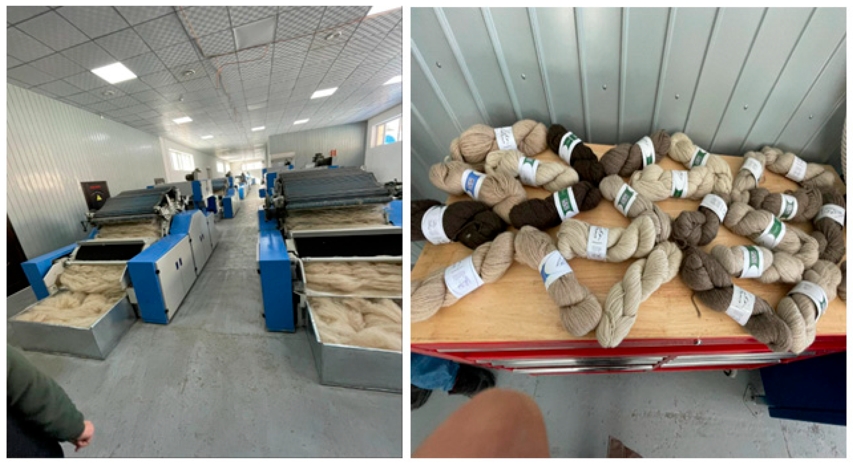 Sustainability 18 00207 g006