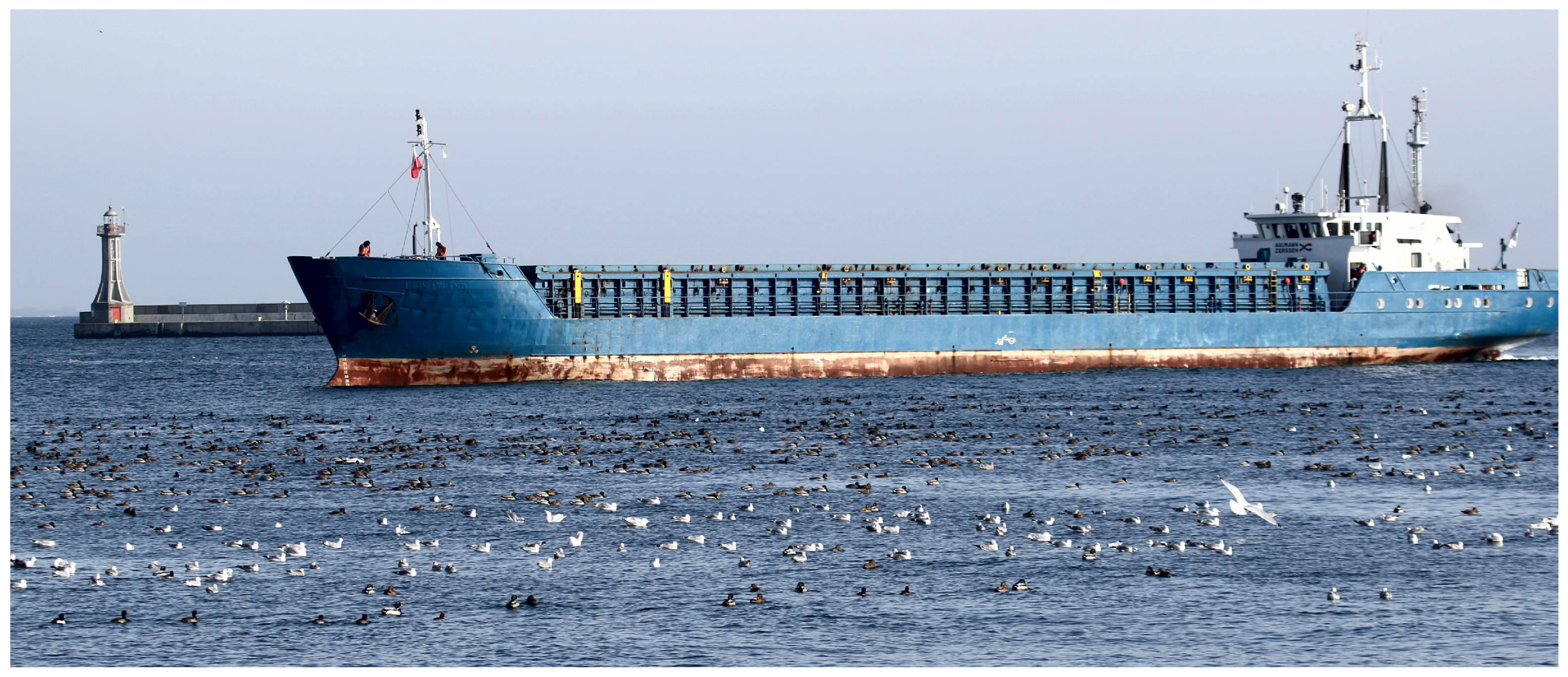 Sustainability 18 00335 g007