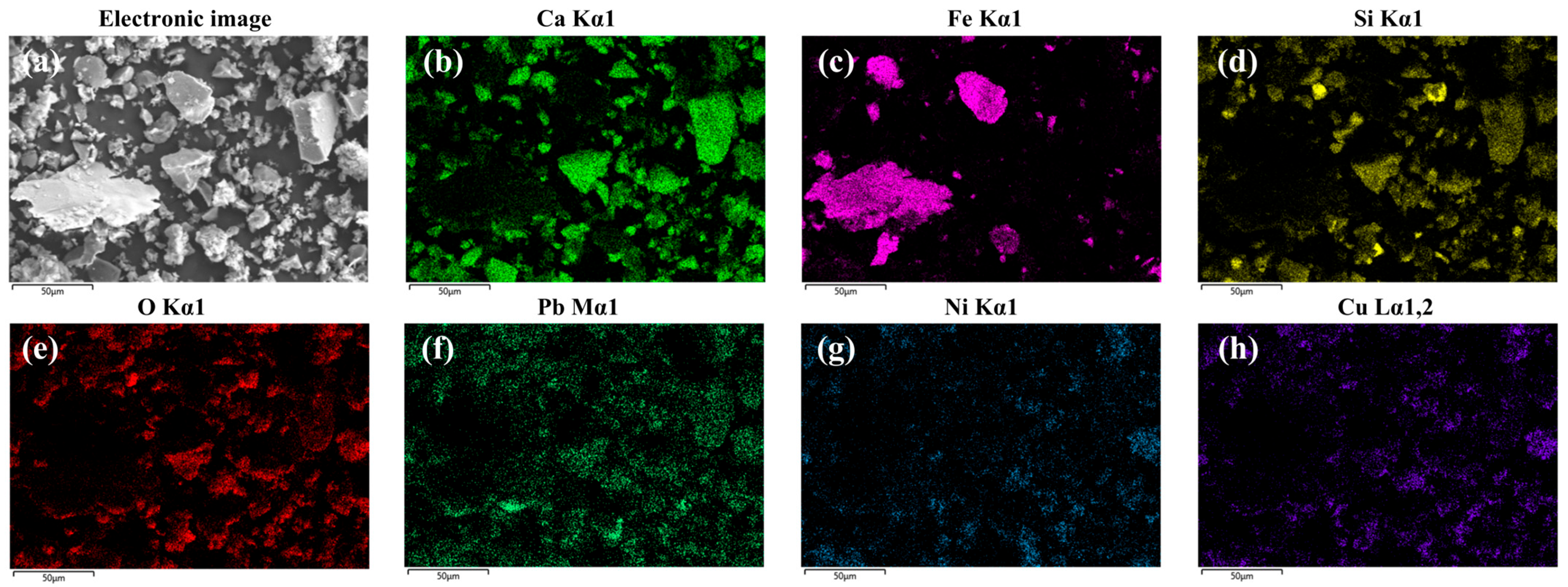 Sustainability 18 00342 g007