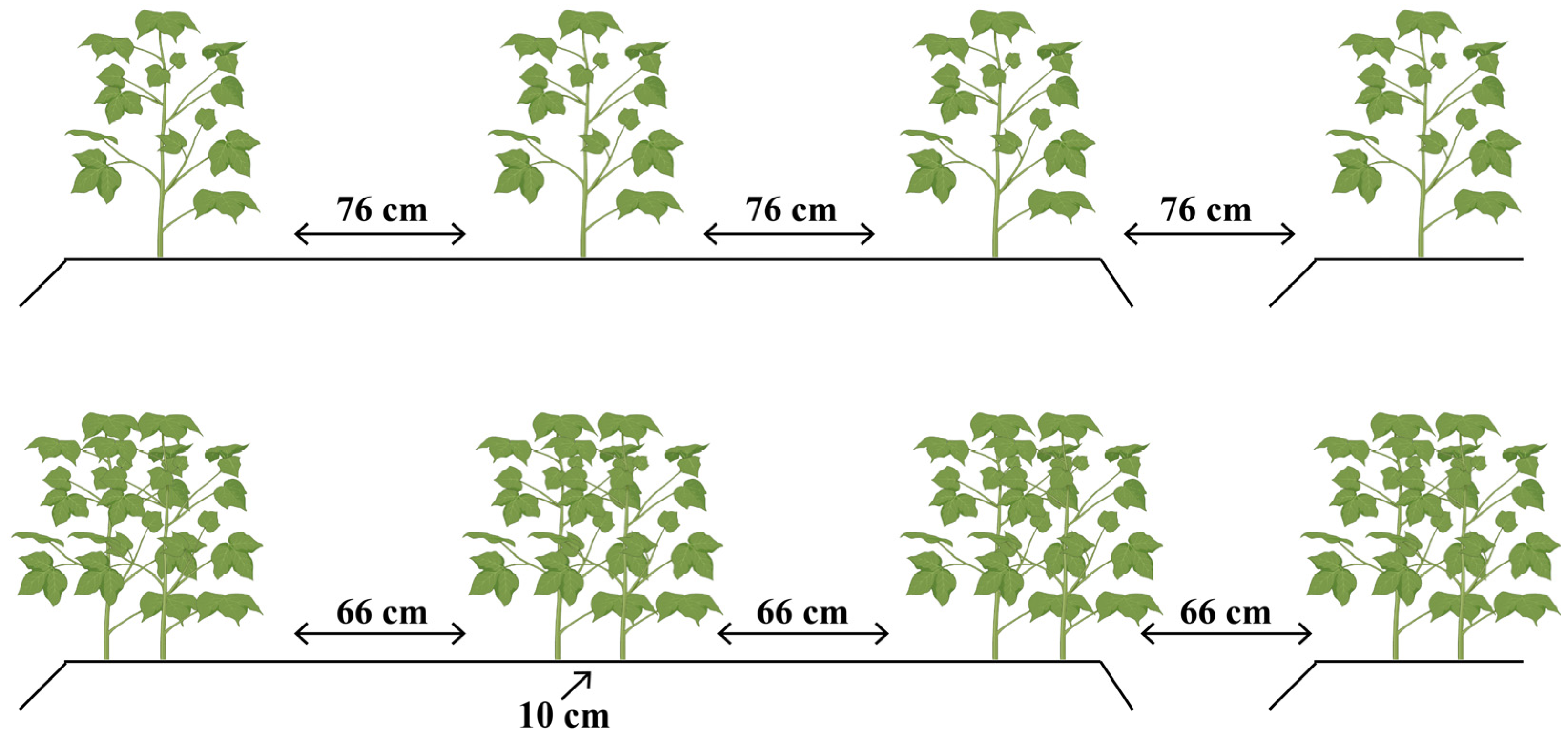 Sustainability 18 00366 g001