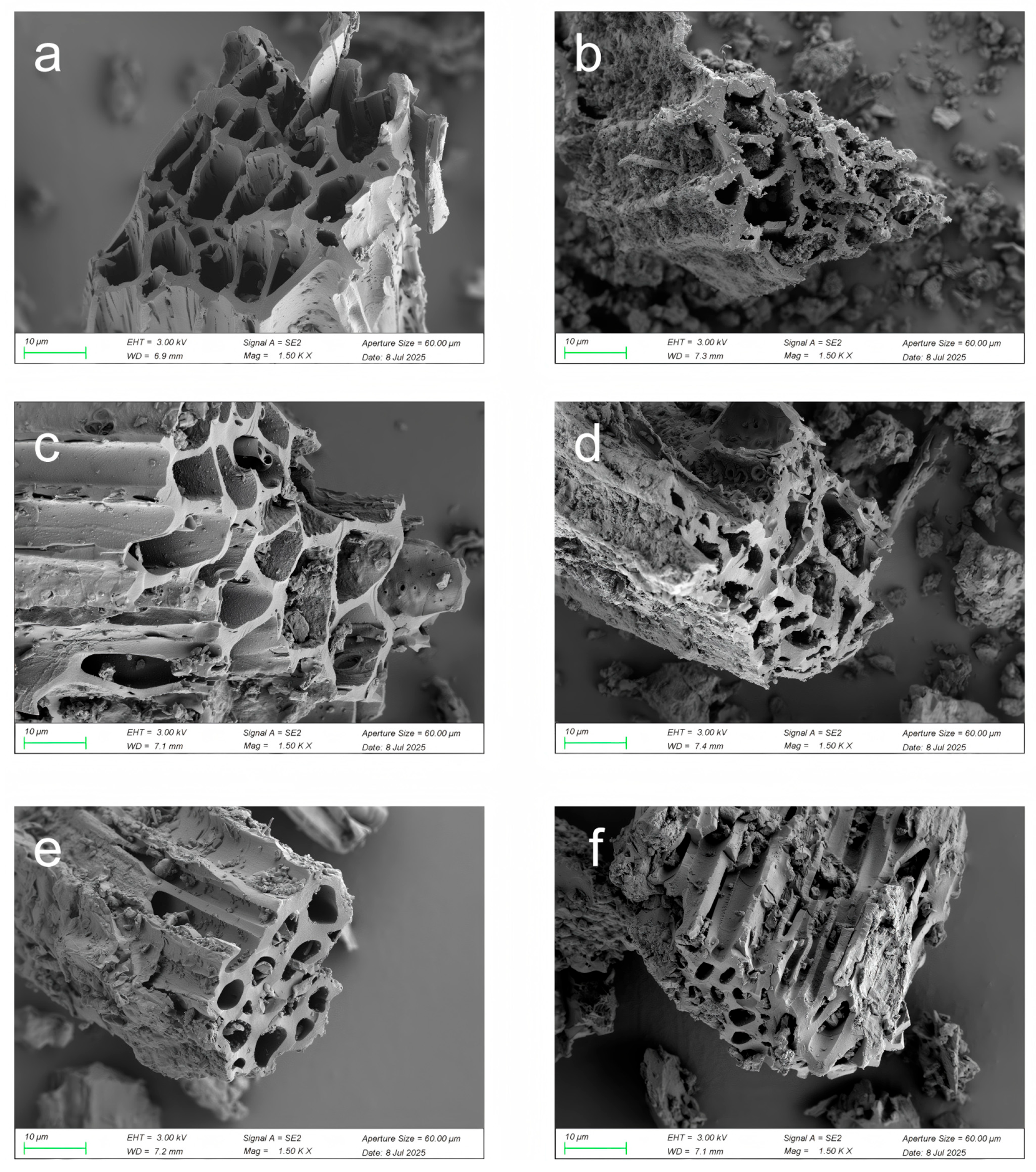 Sustainability 18 00373 g001