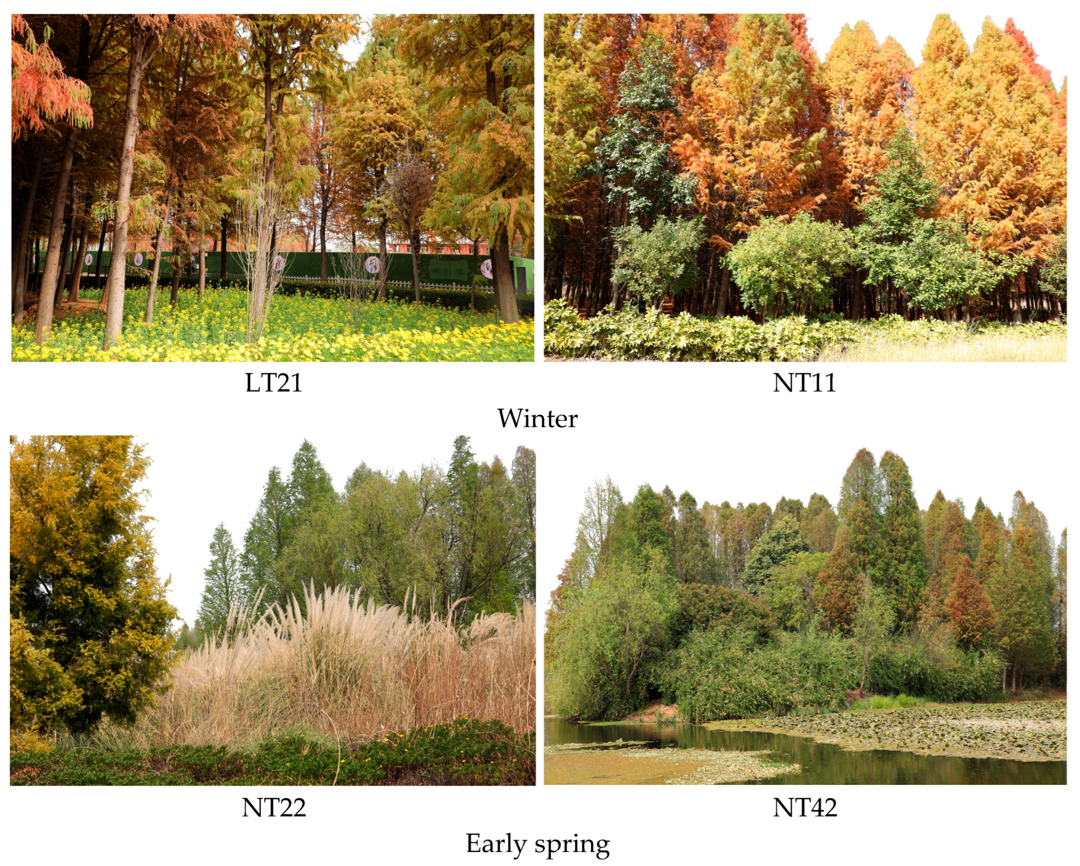 Sustainability 18 00386 g003a