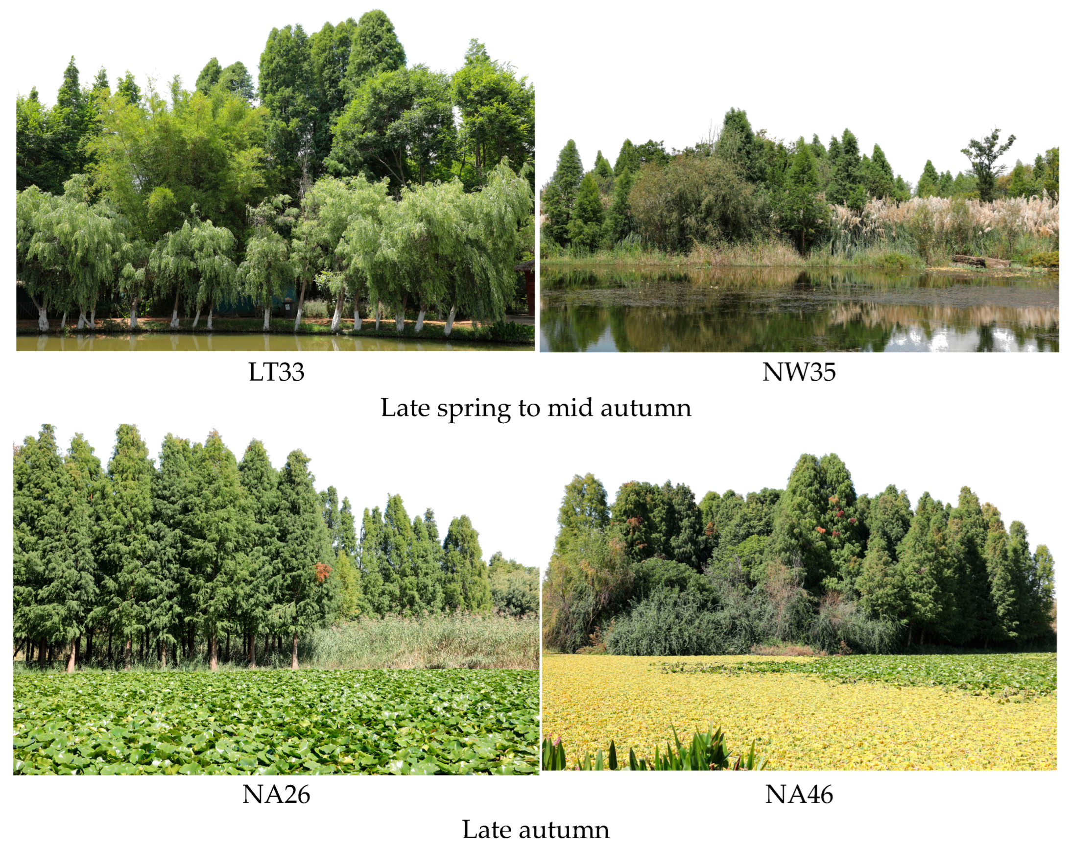 Sustainability 18 00386 g003b