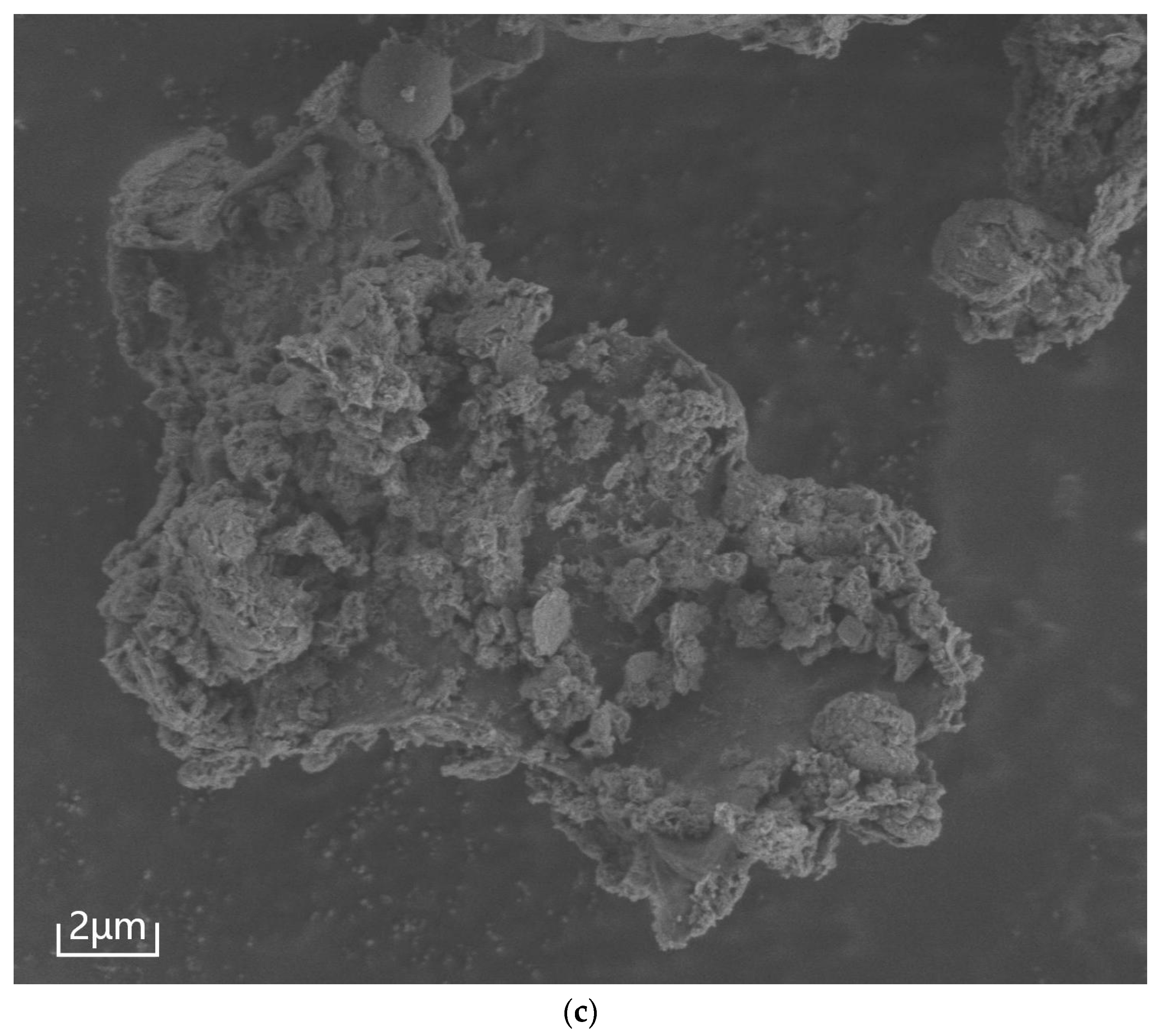 Sustainability 18 00488 g004b Sustainability 18 00488 g004b