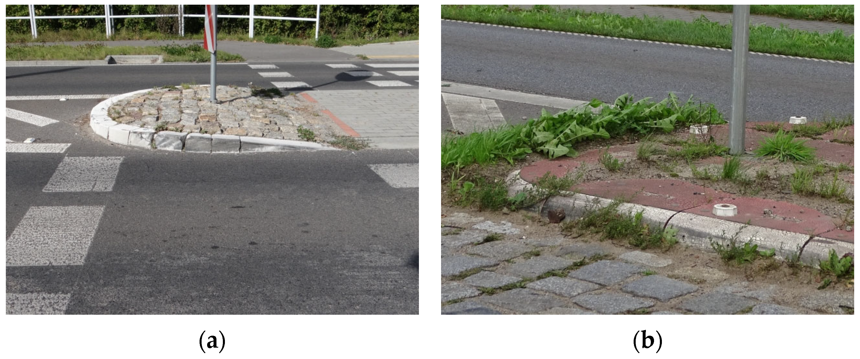 Sustainability 18 00494 g021 Sustainability 18 00494 g021