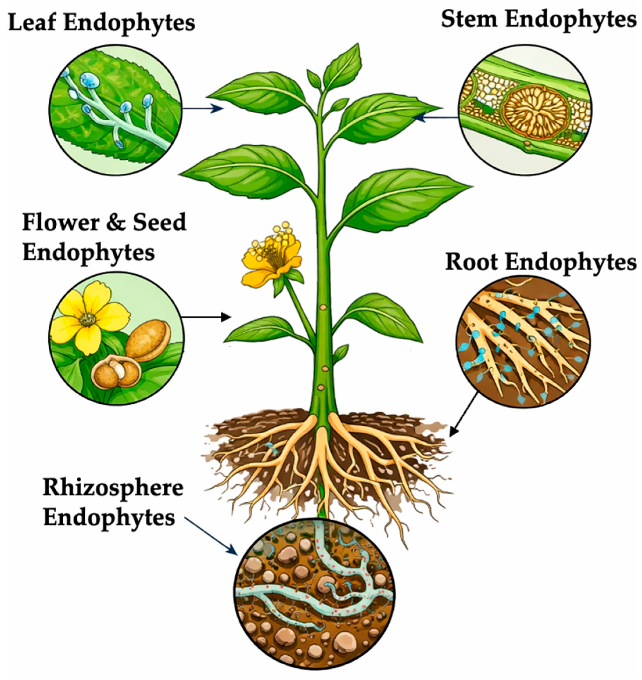 Sustainability 18 00872 g001