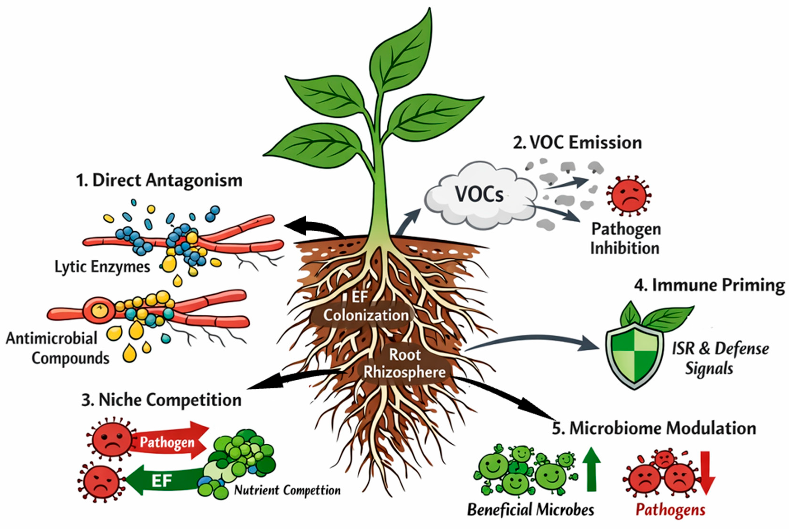 Sustainability 18 00872 g004