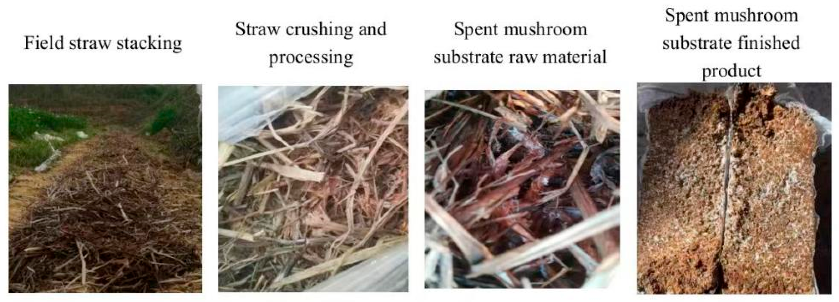 Sustainability 18 01266 g001 Sustainability 18 01266 g001