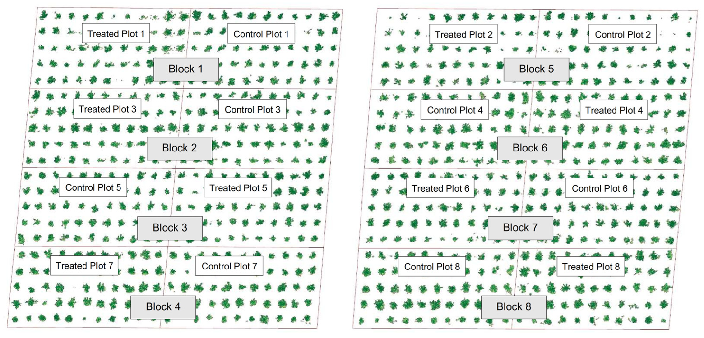 Sustainability 18 01324 g002