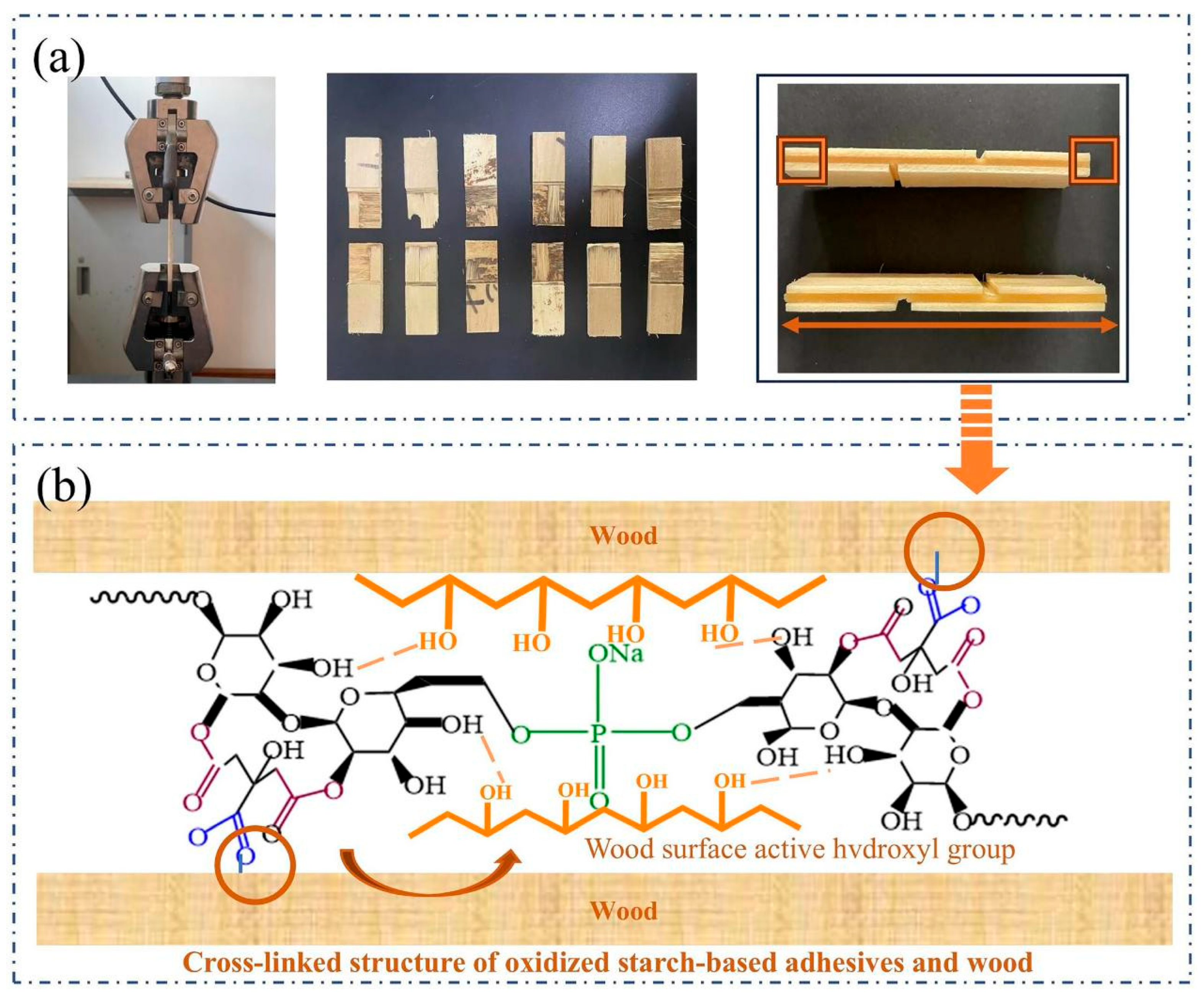 Sustainability 18 01477 g004 Sustainability 18 01477 g004