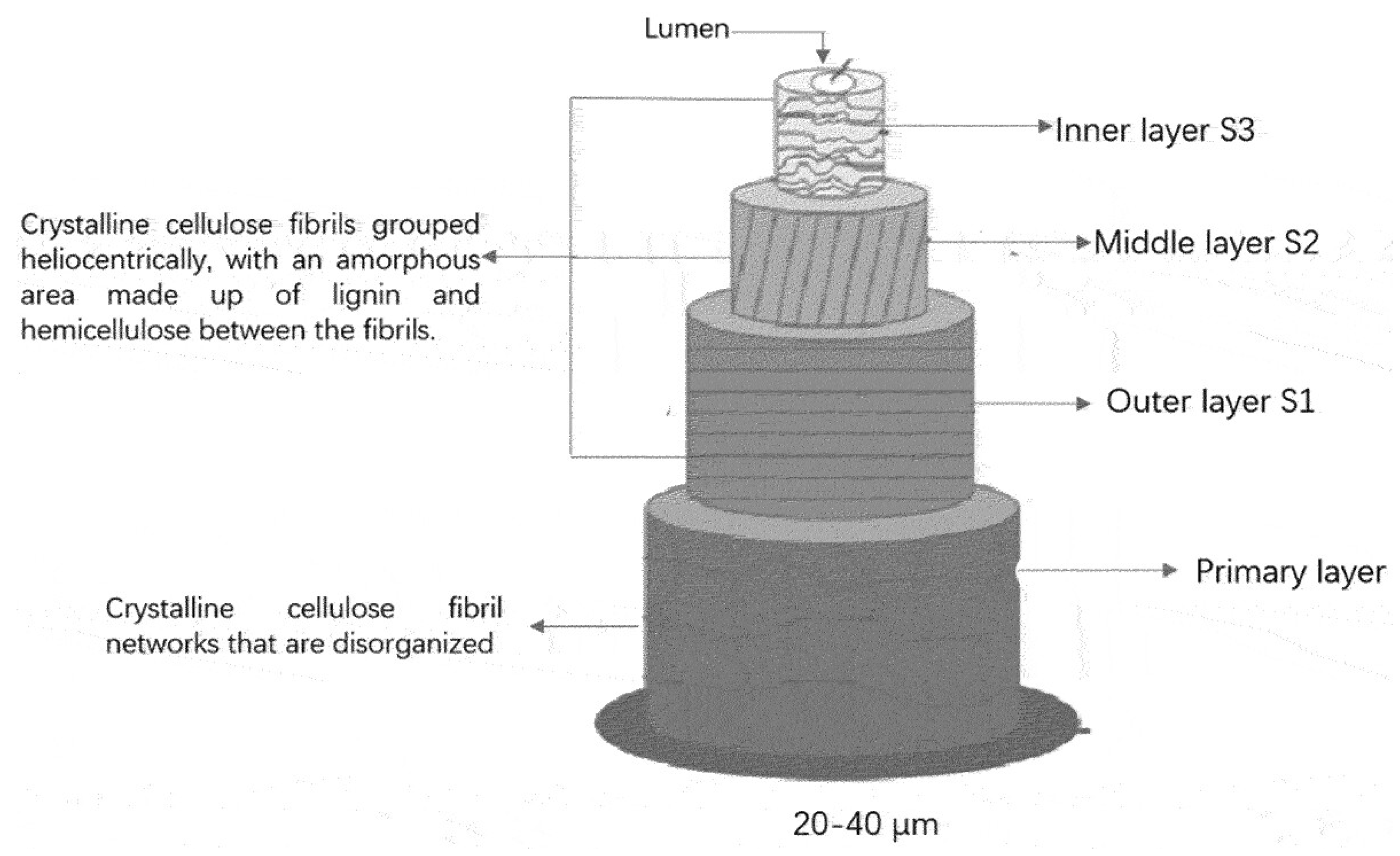 Sustainability 18 01478 g002 Sustainability 18 01478 g002
