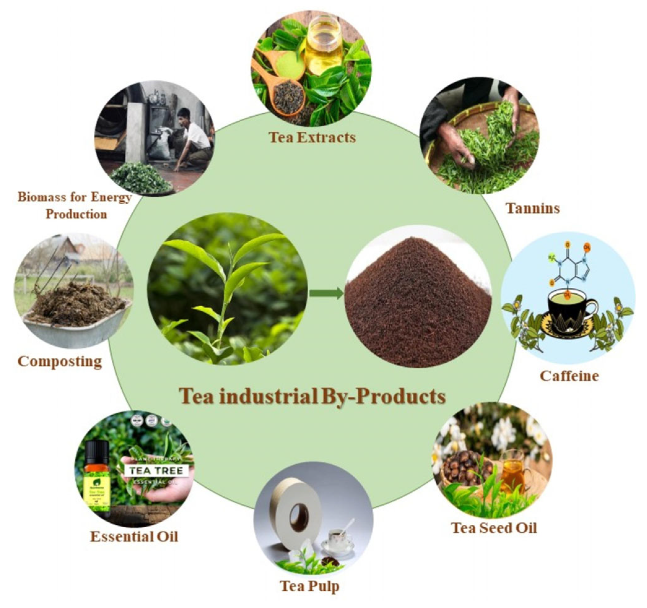 Sustainability 18 01478 g006 Sustainability 18 01478 g006