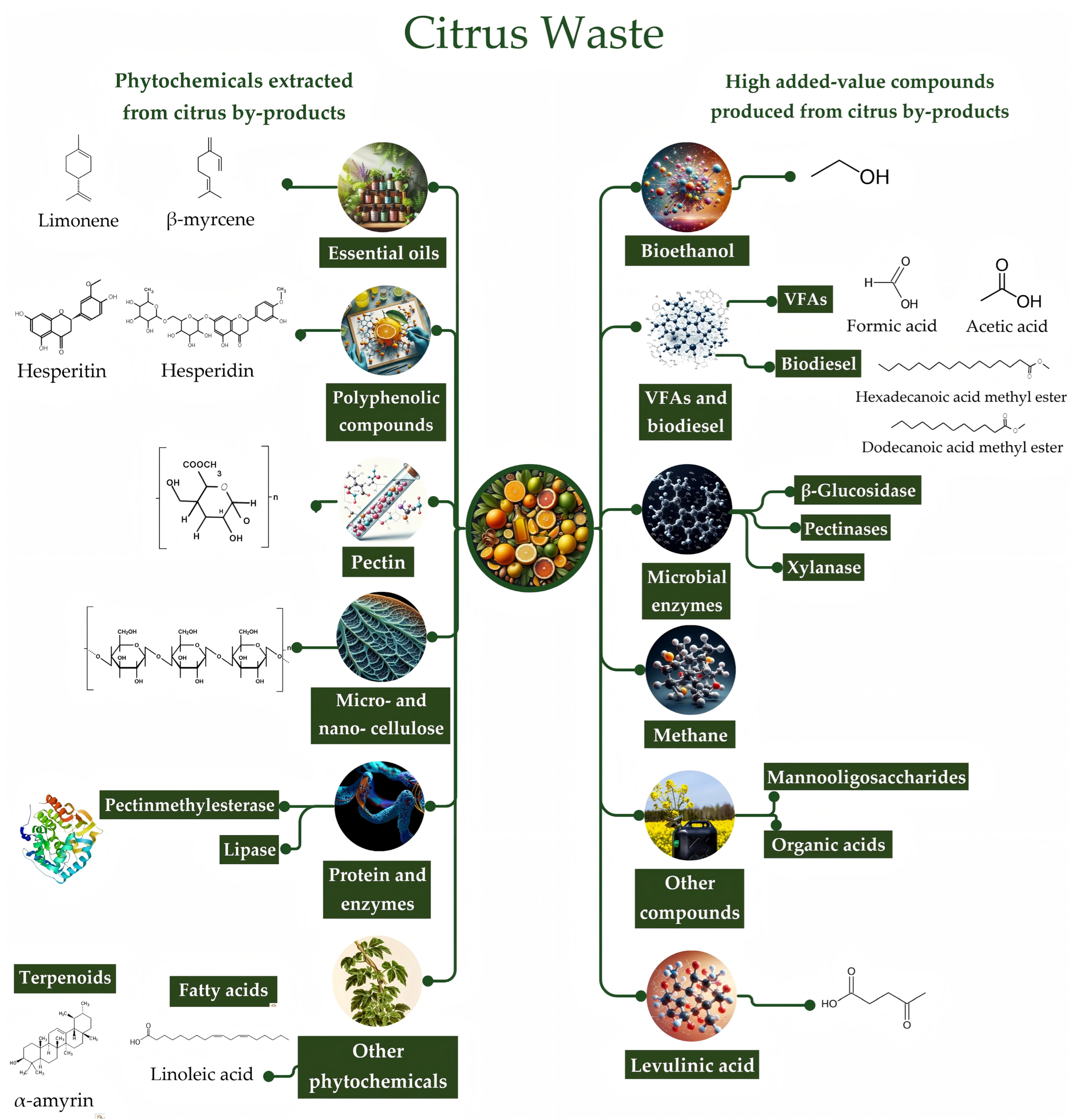 Sustainability 18 01478 g007 Sustainability 18 01478 g007