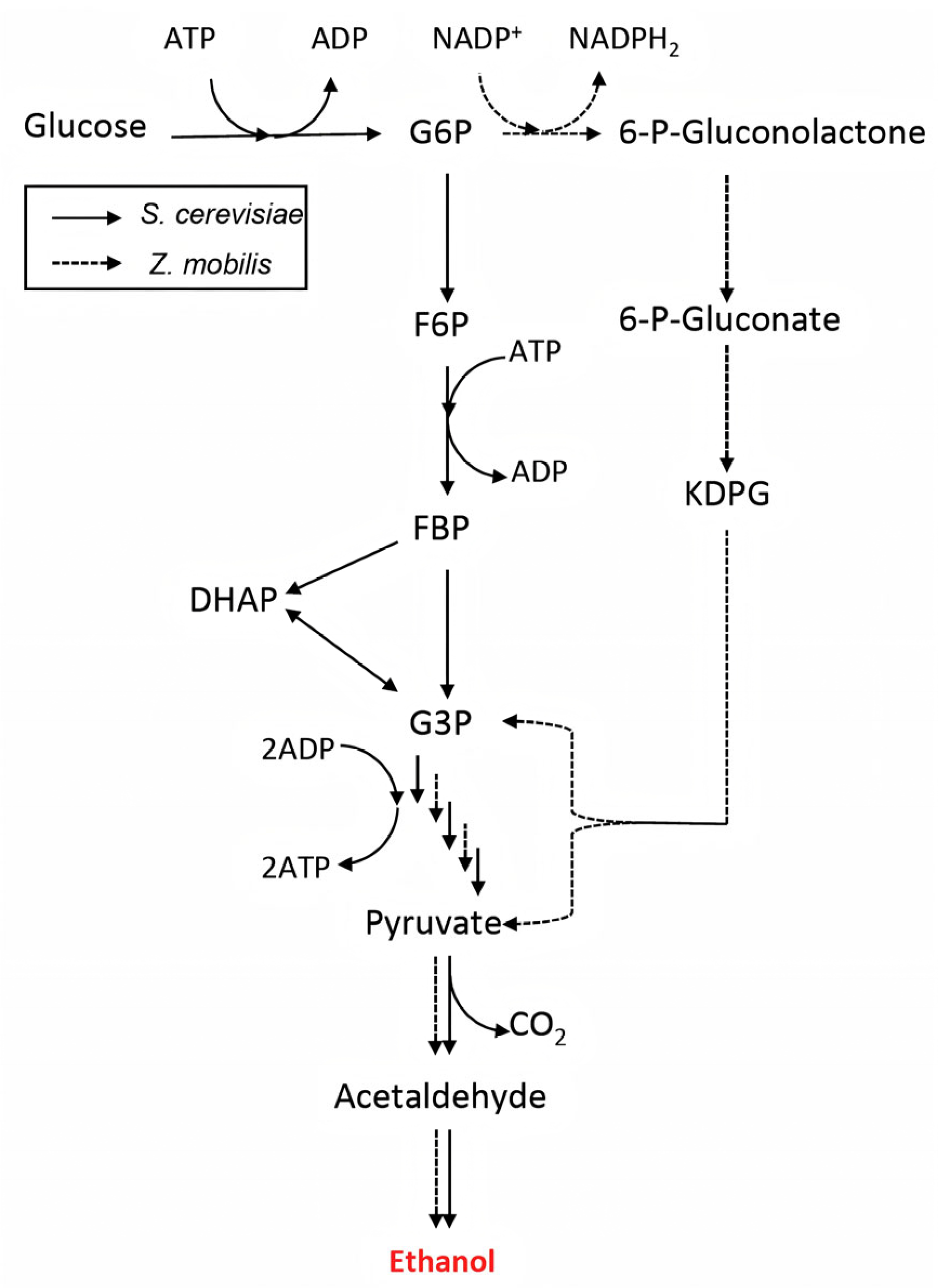 Sustainability 18 01478 g012 Sustainability 18 01478 g012