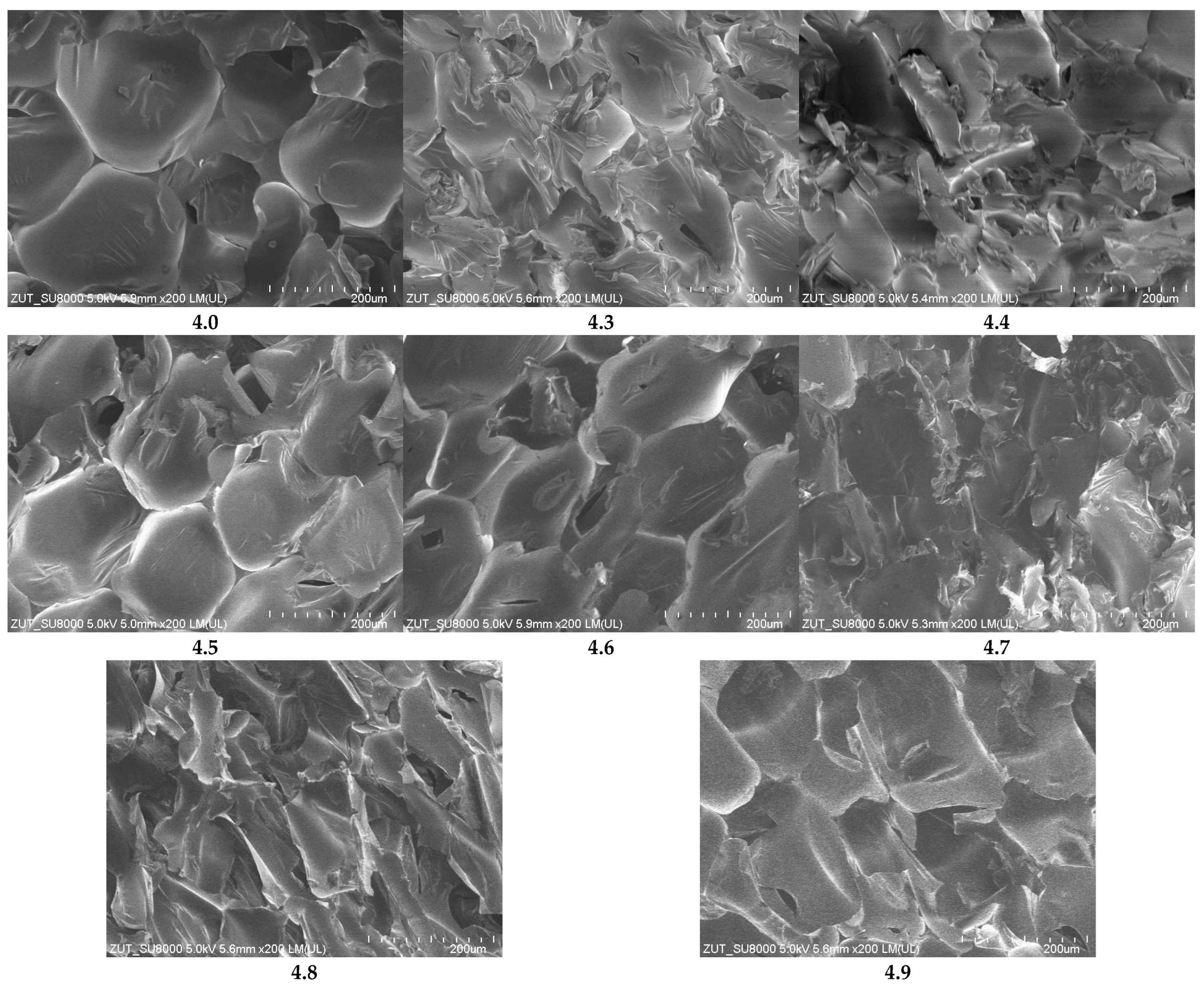 Sustainability 18 01497 g009