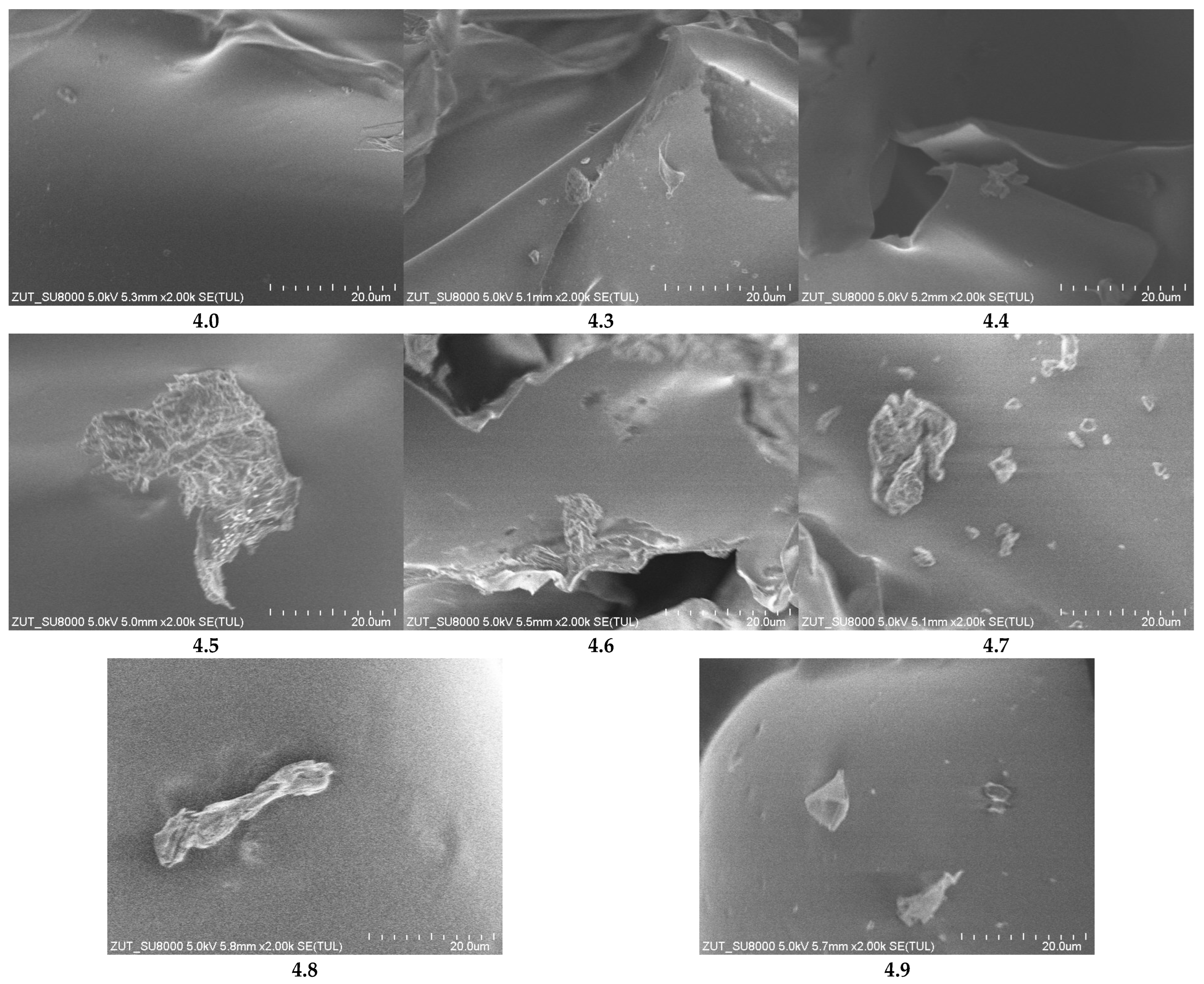 Sustainability 18 01497 g010