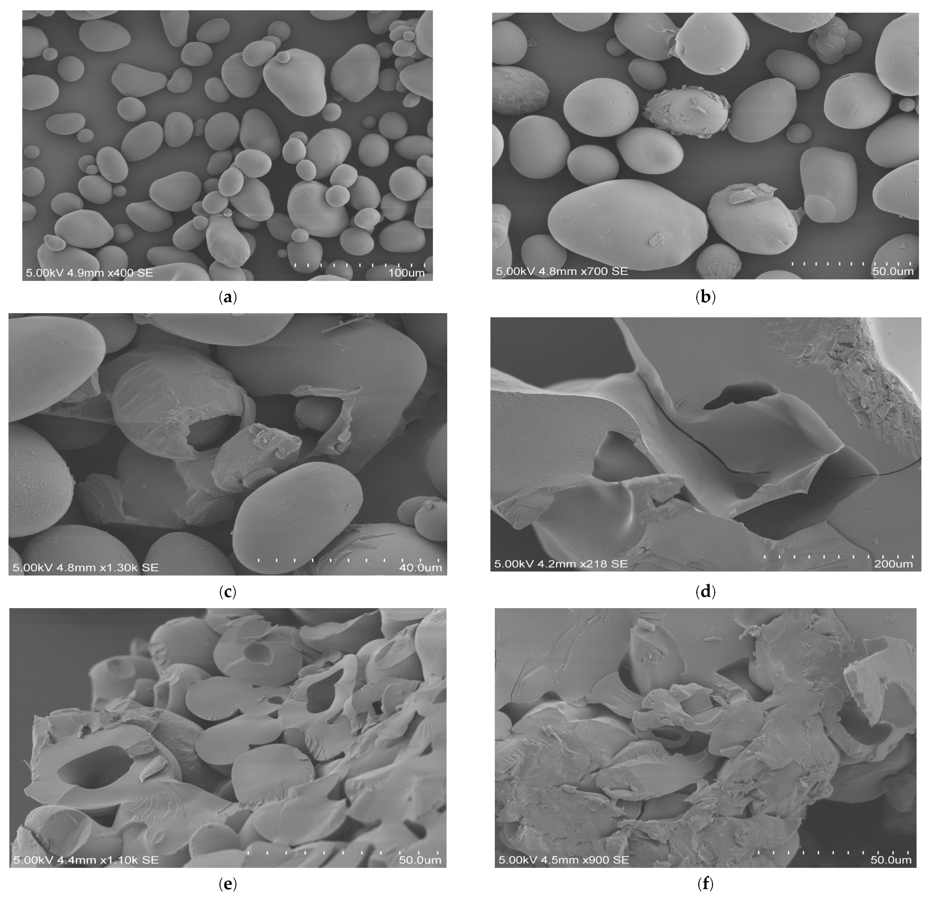 Sustainability 18 01498 g003