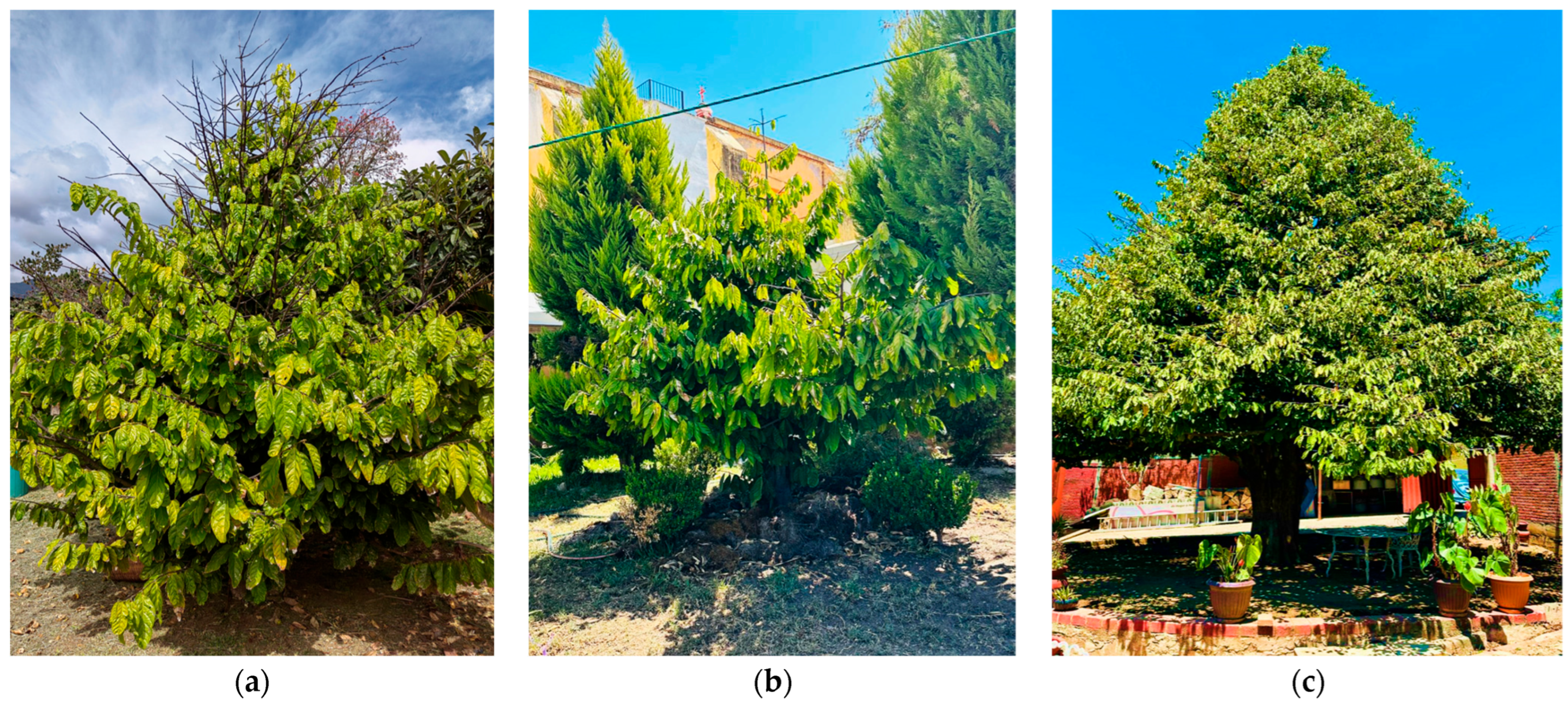 Sustainability 18 01630 g008