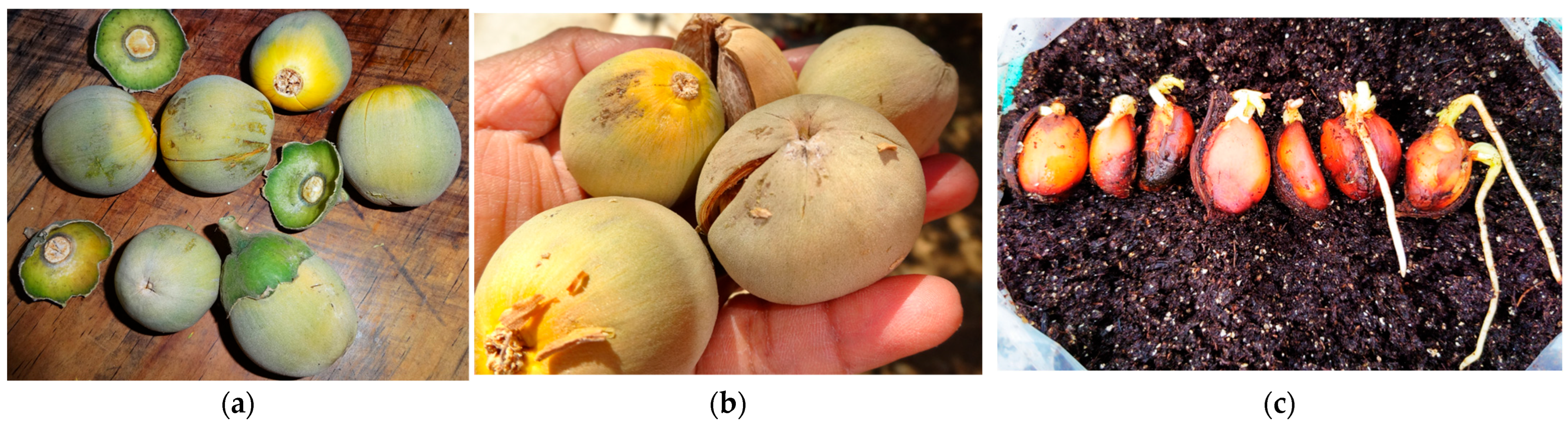 Sustainability 18 01630 g014