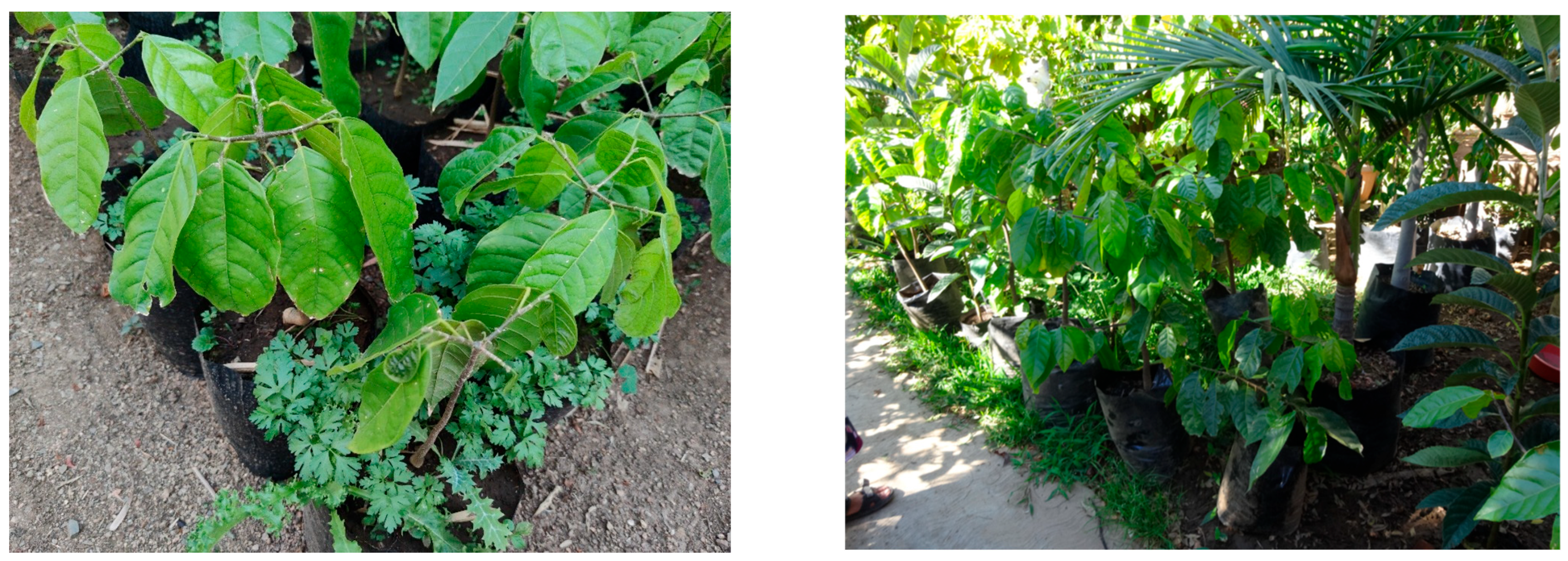 Sustainability 18 01630 g015