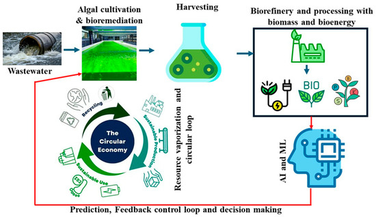 An Integrated Algal Biorefinery Approach for Wastewater Treatment and ...