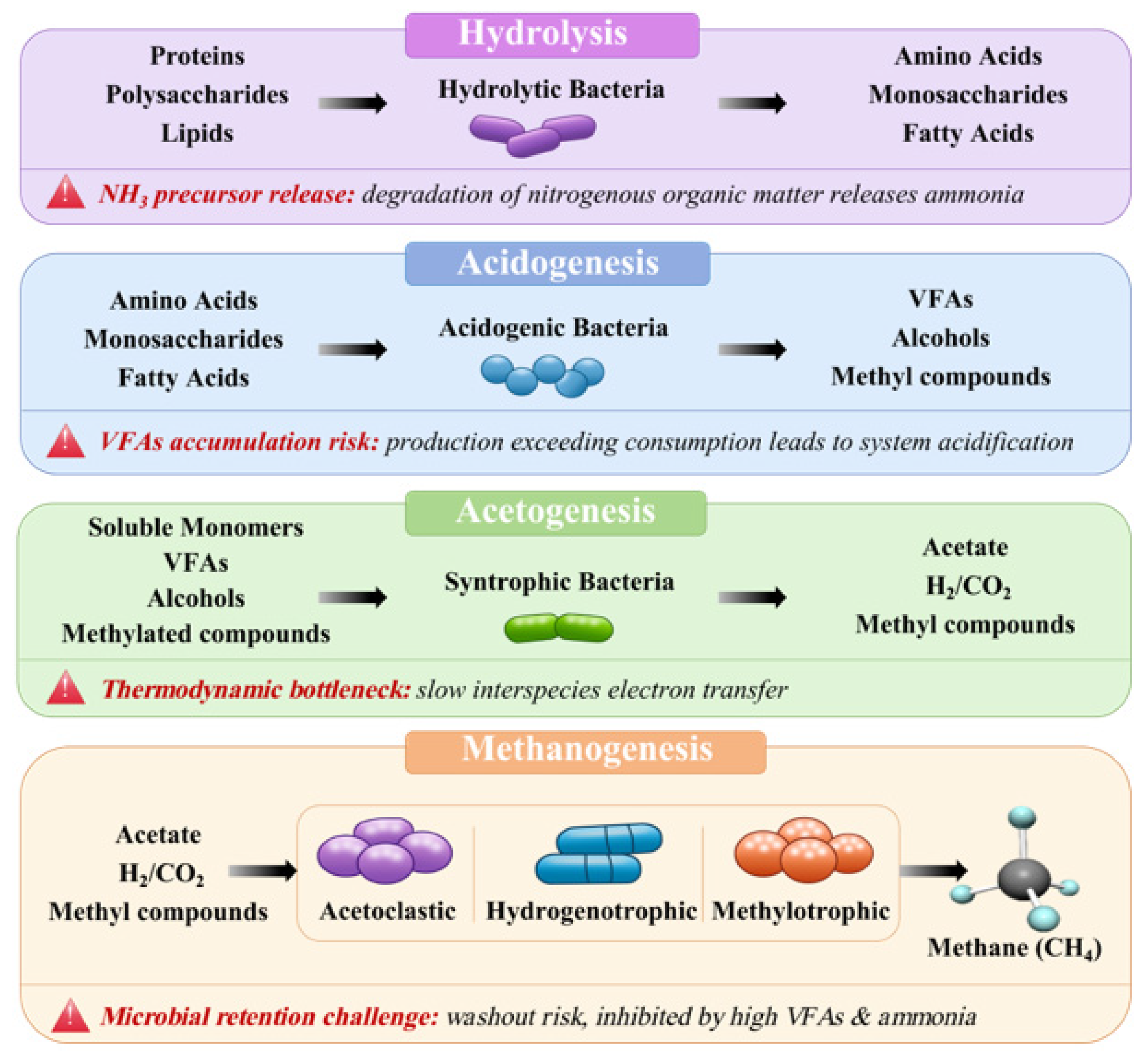 Overview of Enhancing Sludge Anaerobic Digestion Through Exogenous ...