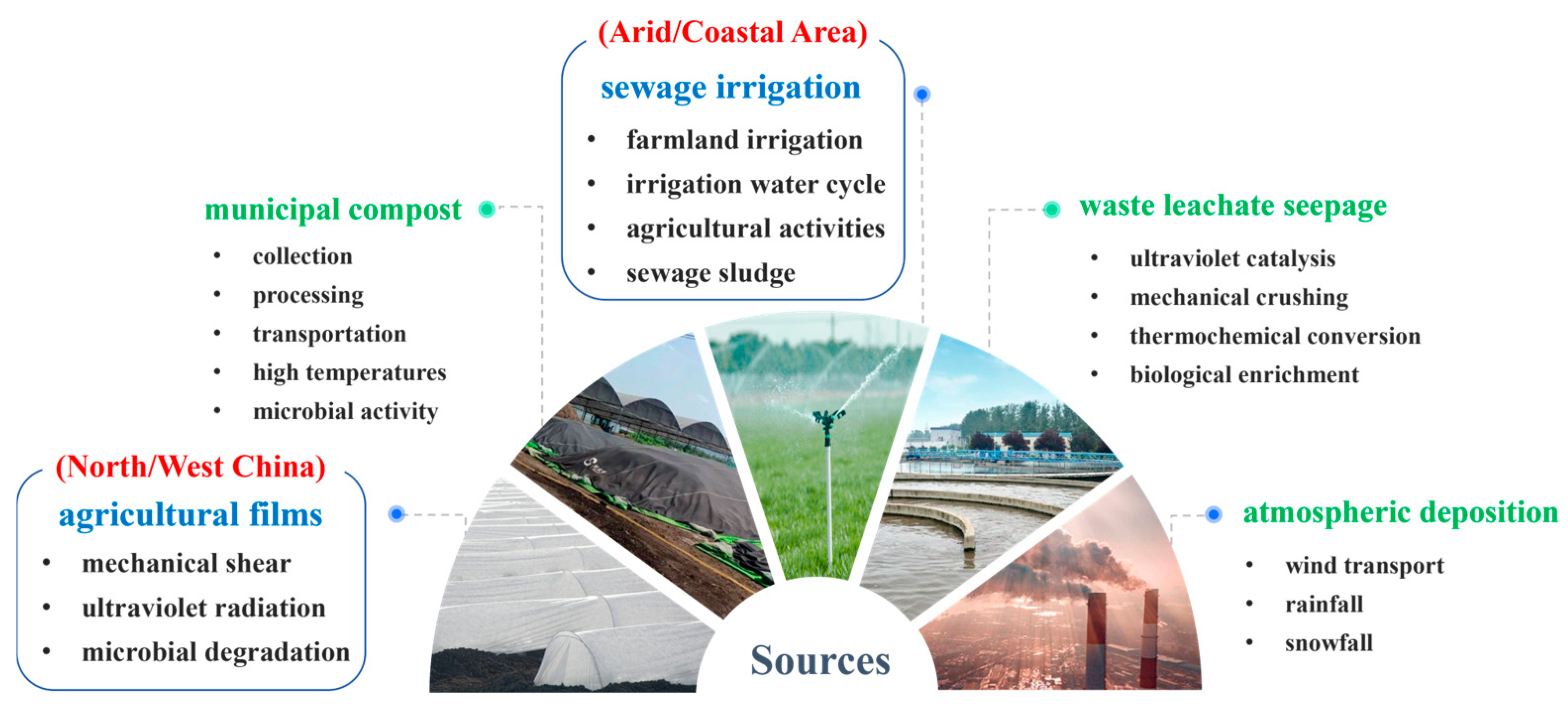 Effects of Microplastics on Organic Carbon in Saline–Alkaline