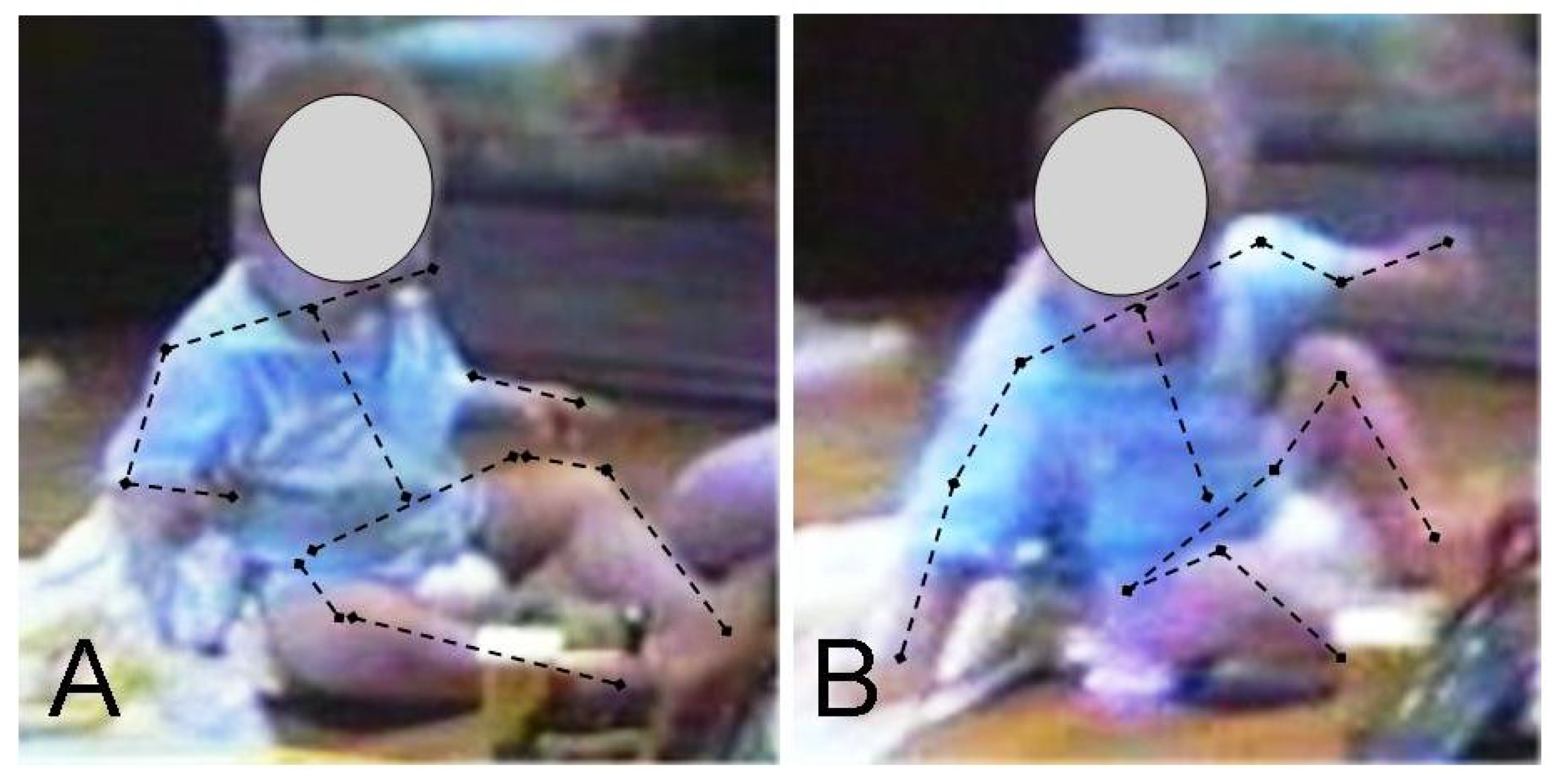 Symmetry 01 00215 g001 550