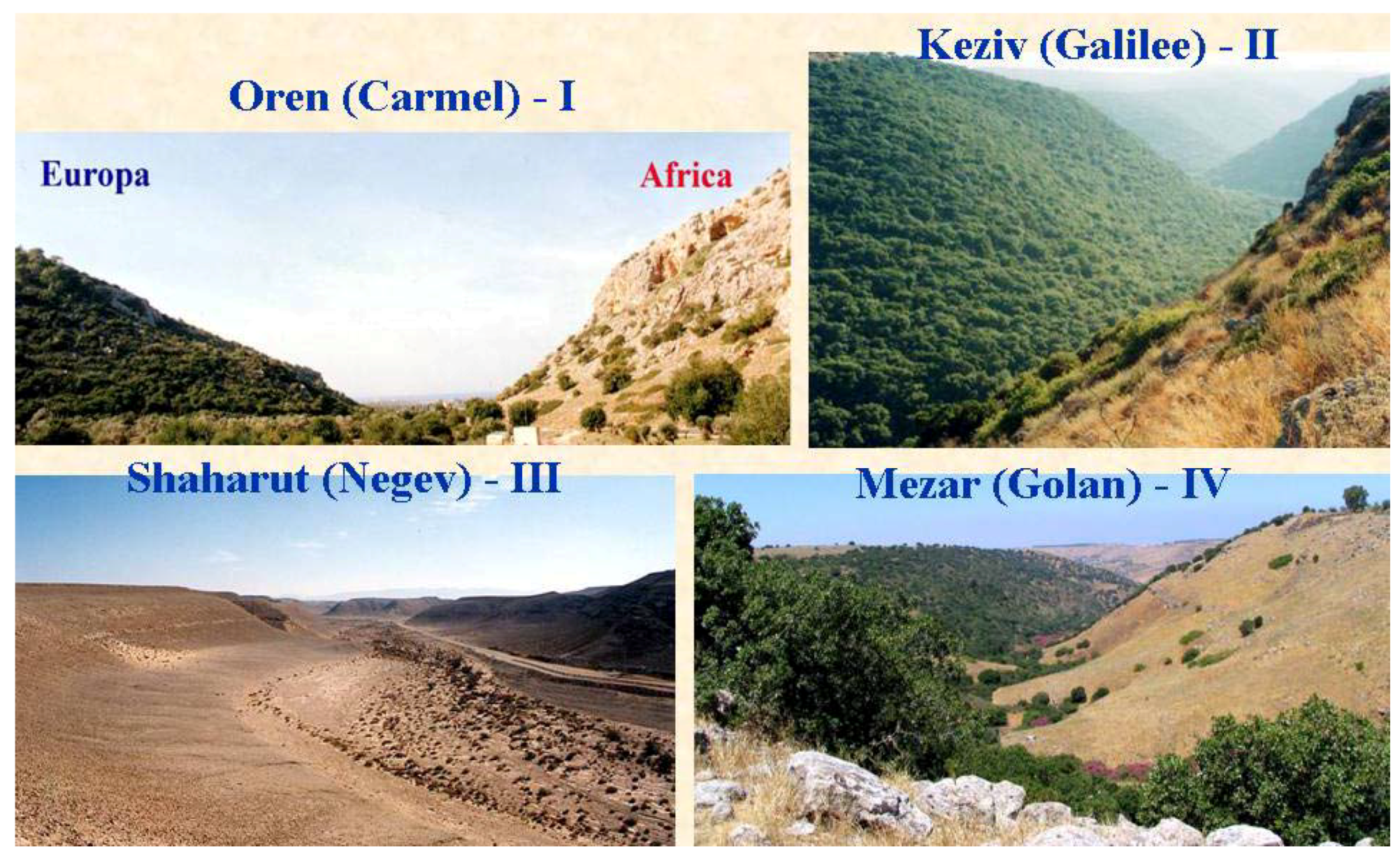 Symmetry 02 00466 g028