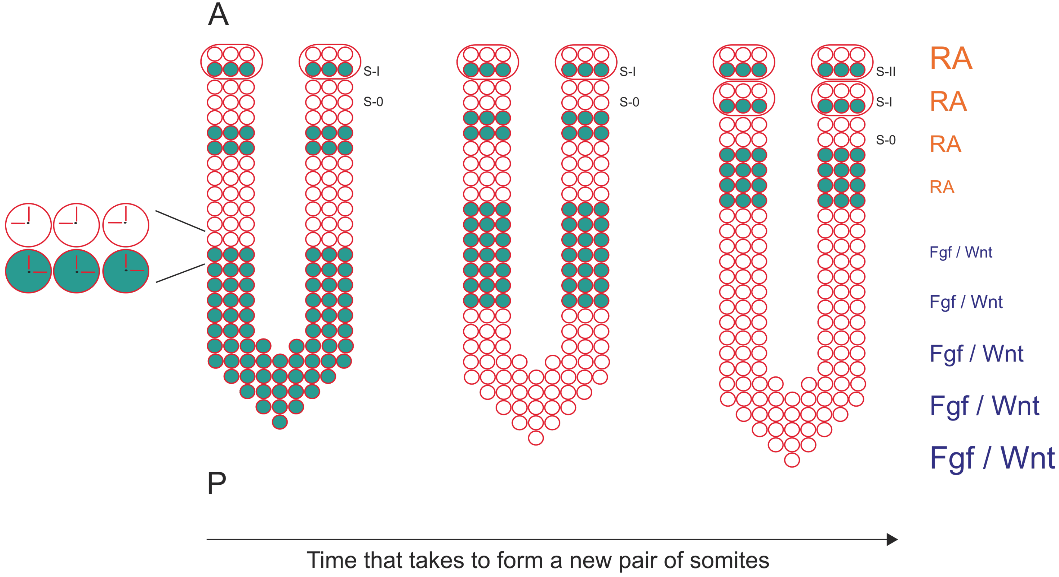 Symmetry 02 01033 g001 550