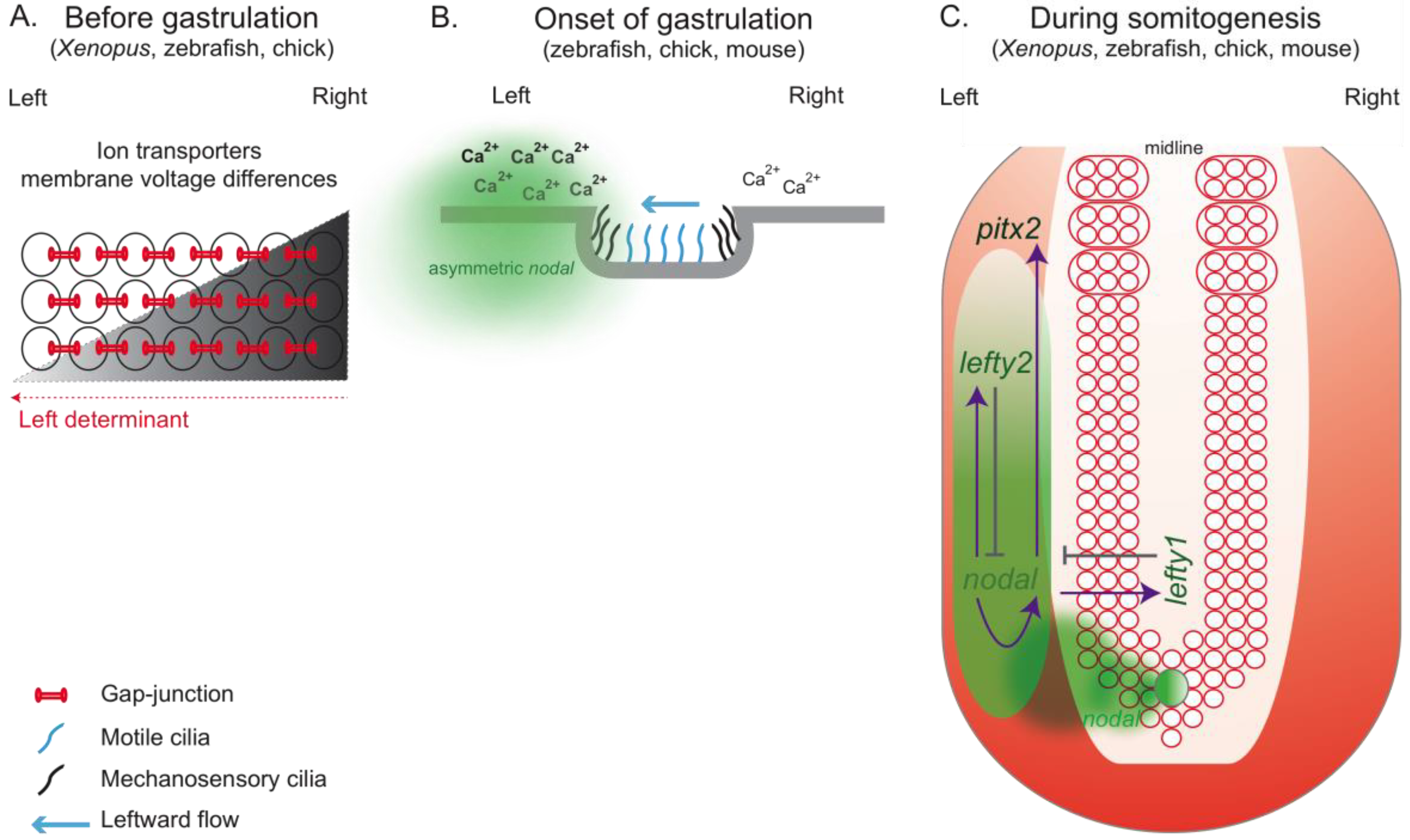 Symmetry 02 01033 g003 550