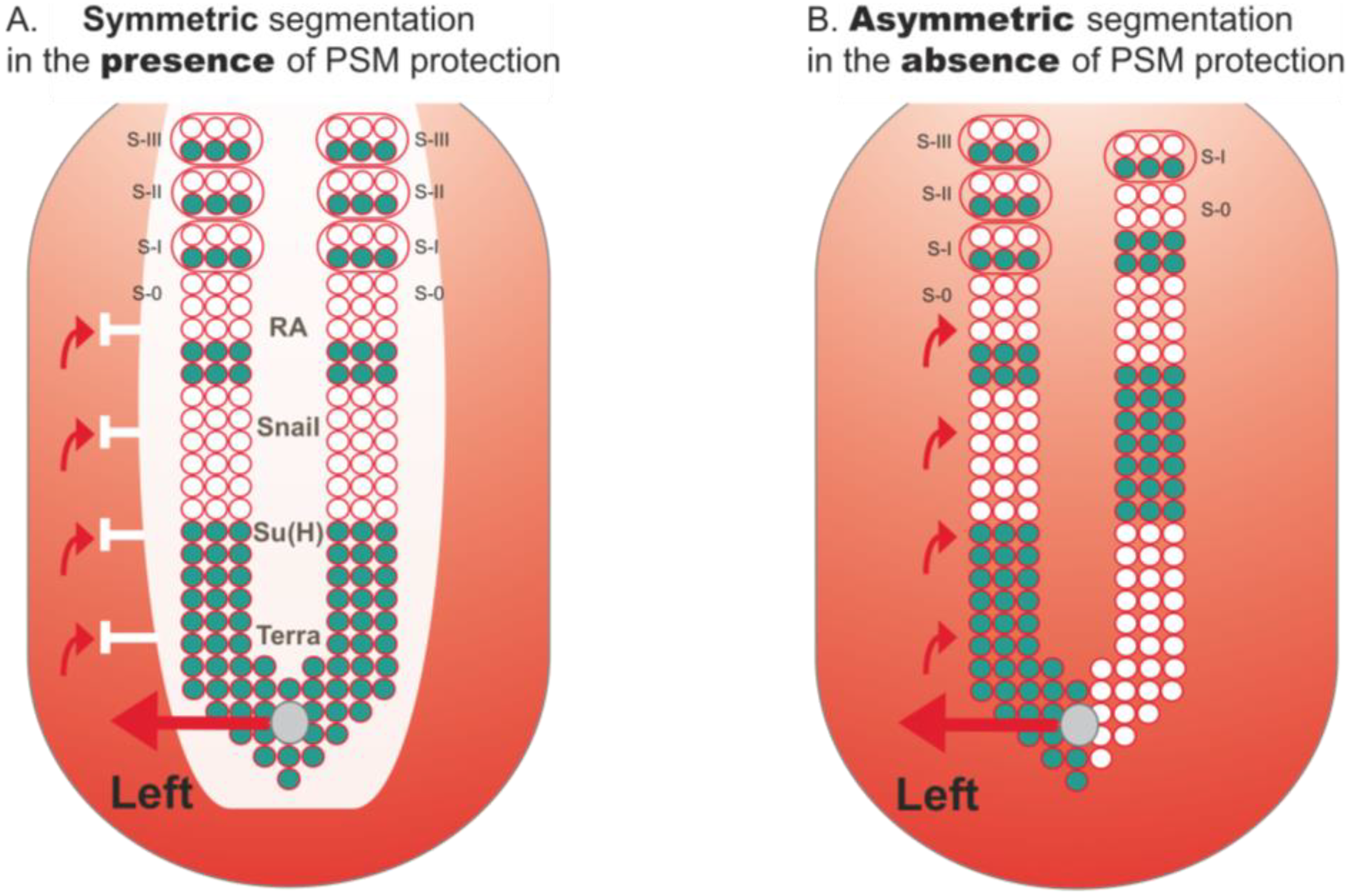 Symmetry 02 01033 g004 550