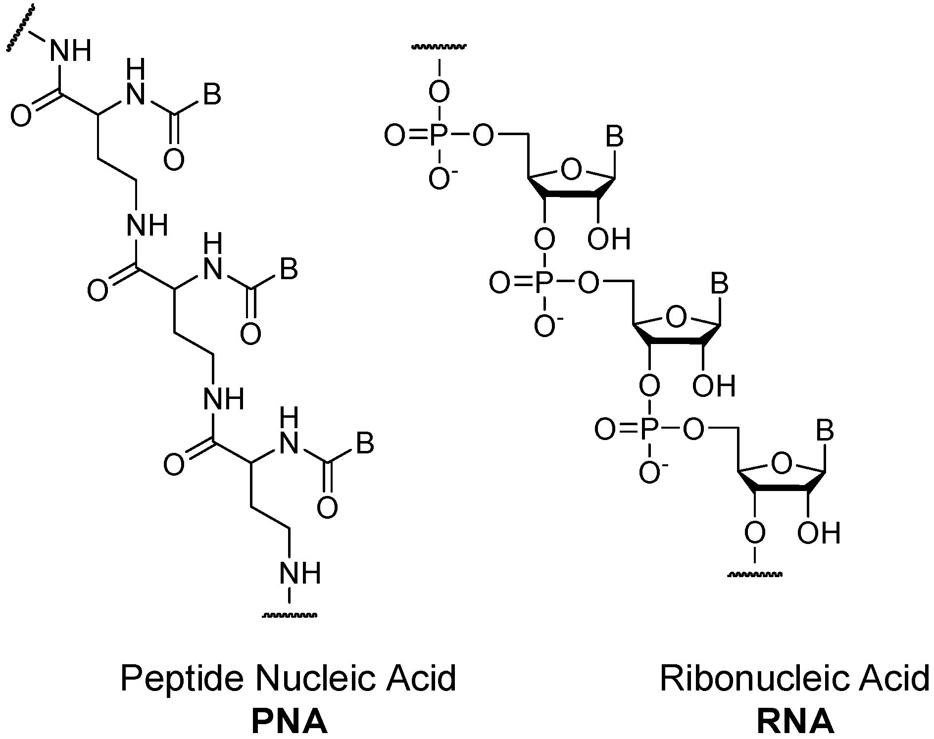 Symmetry 02 01055 g003 550
