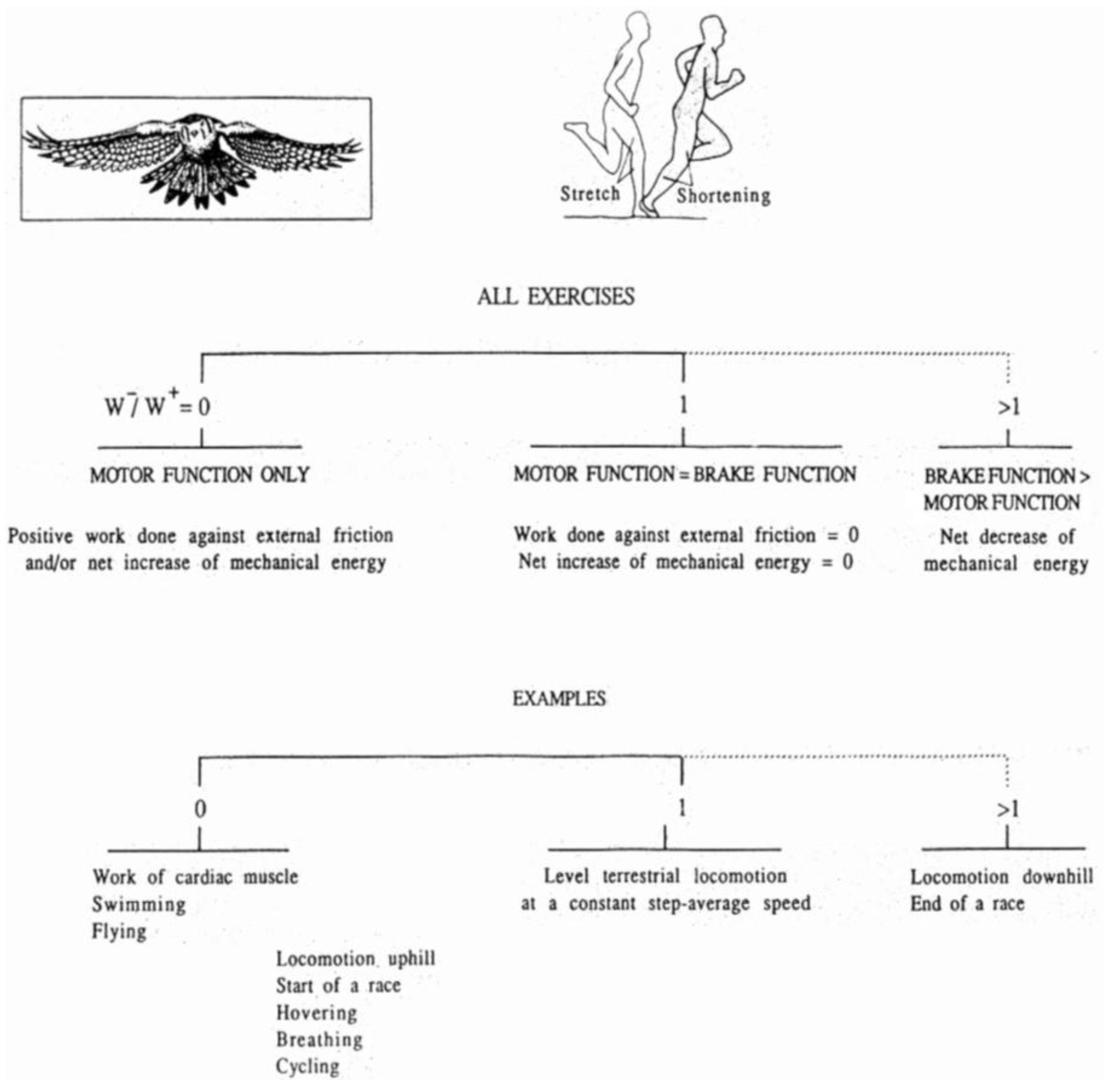 Symmetry 02 01270 g003