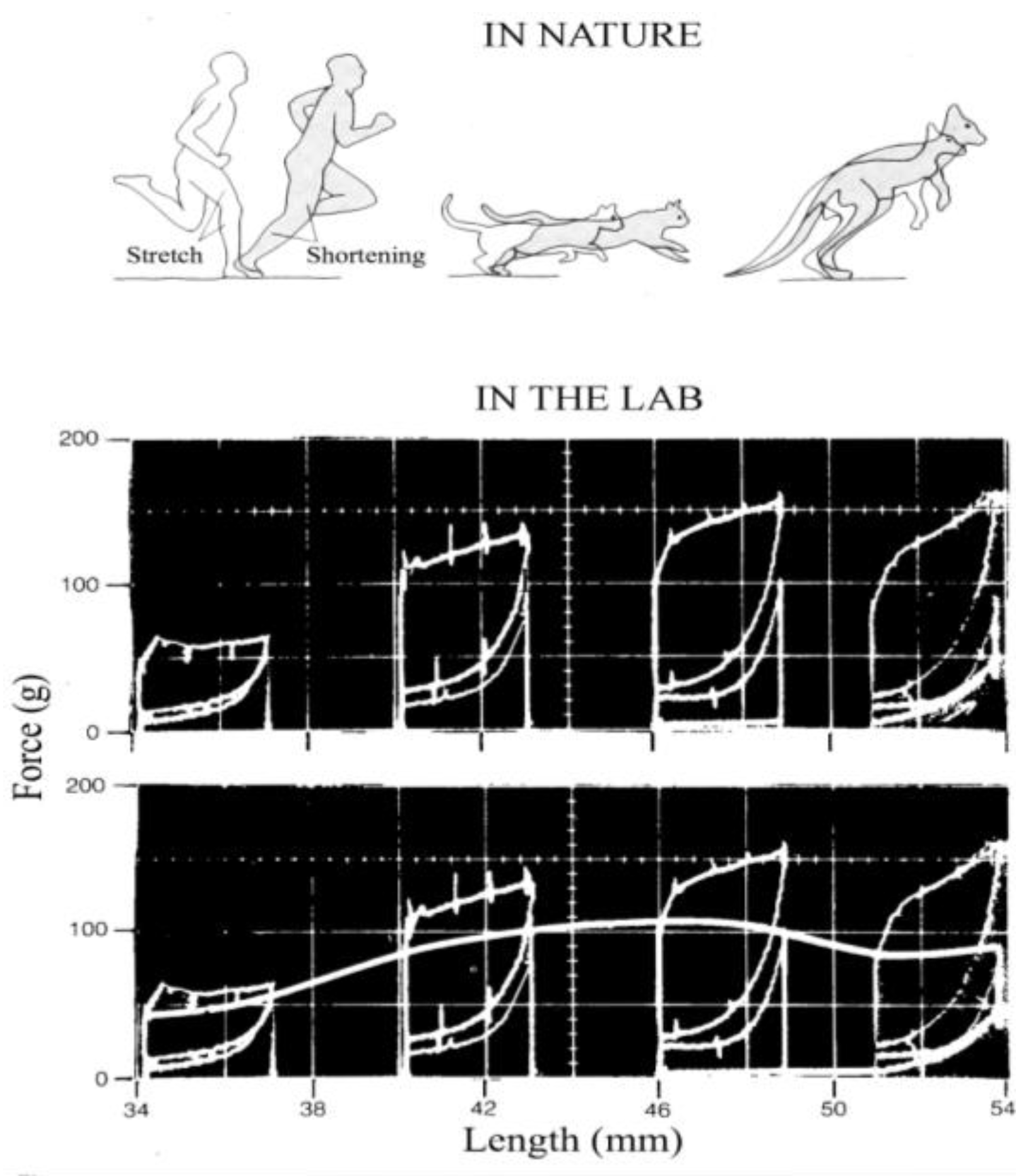 Symmetry 02 01270 g005