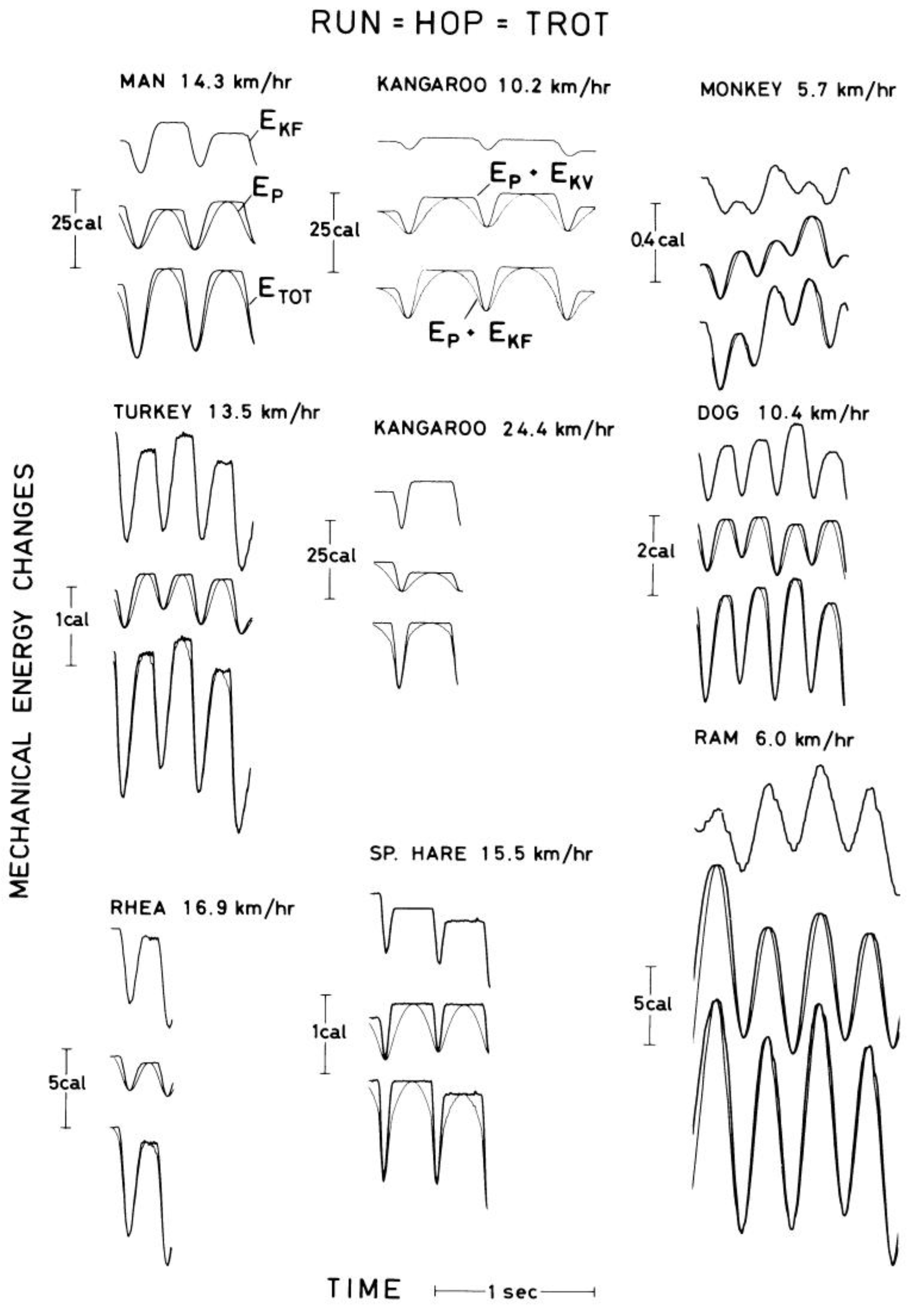 Symmetry 02 01270 g007
