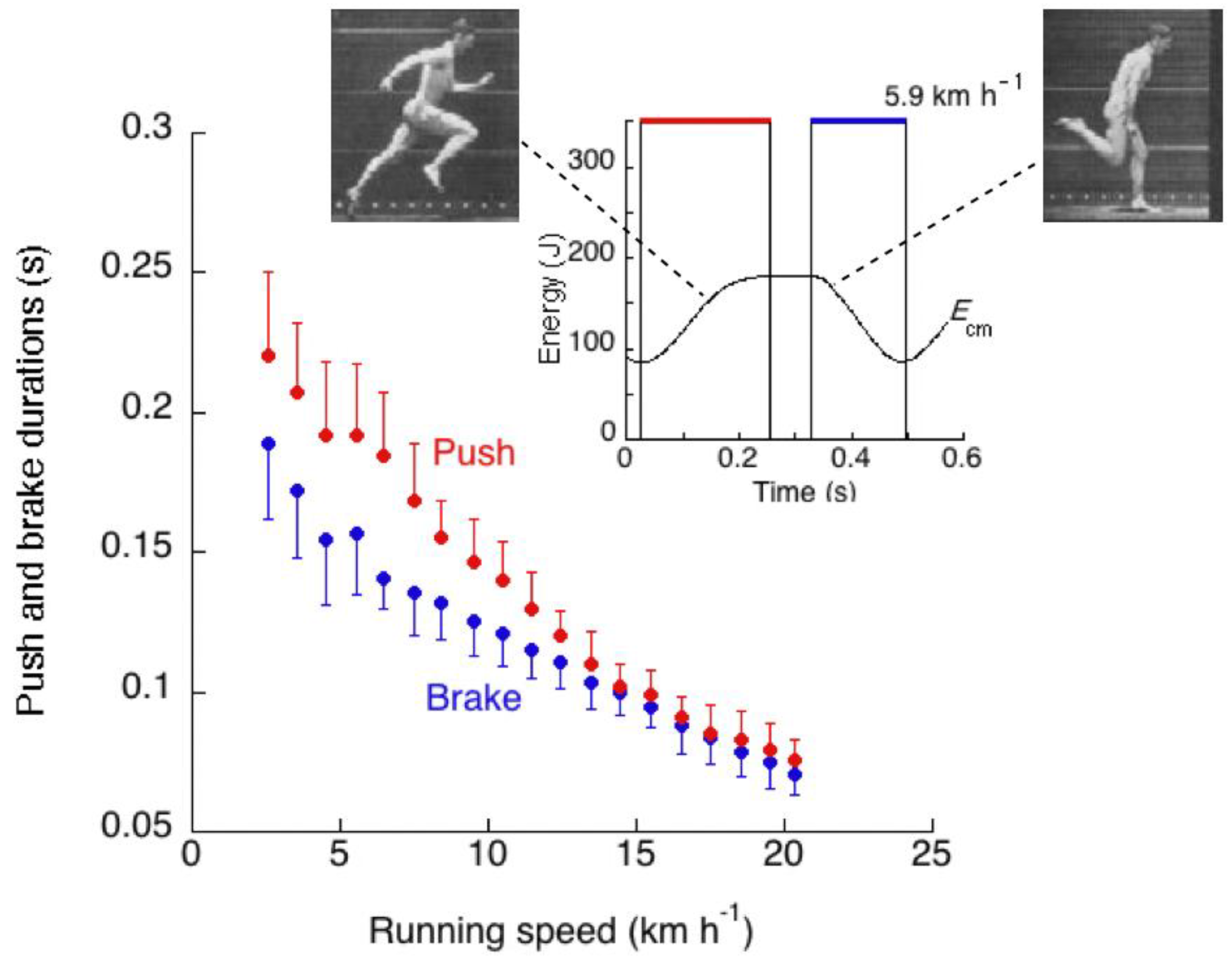 Symmetry 02 01270 g020