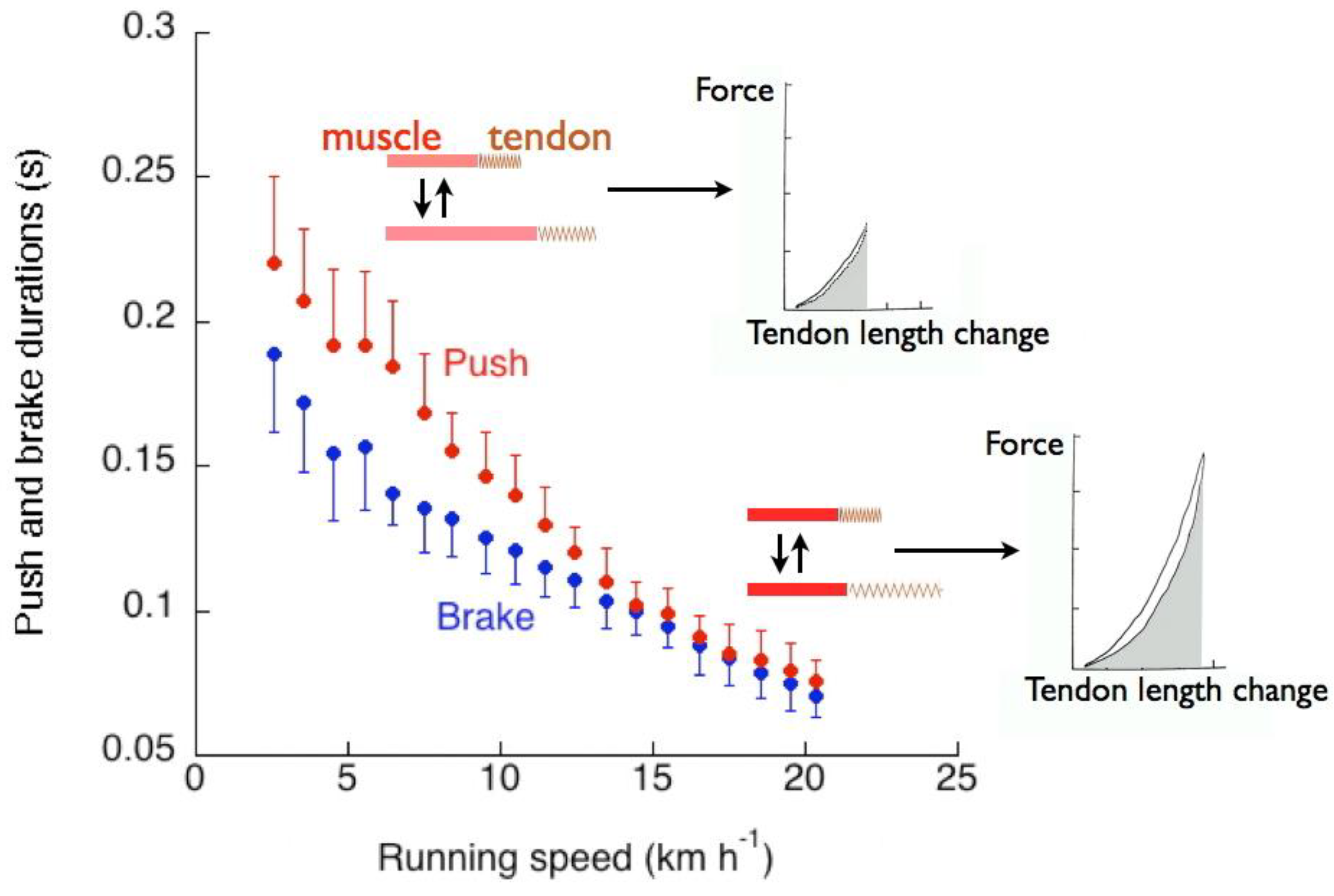 Symmetry 02 01270 g021