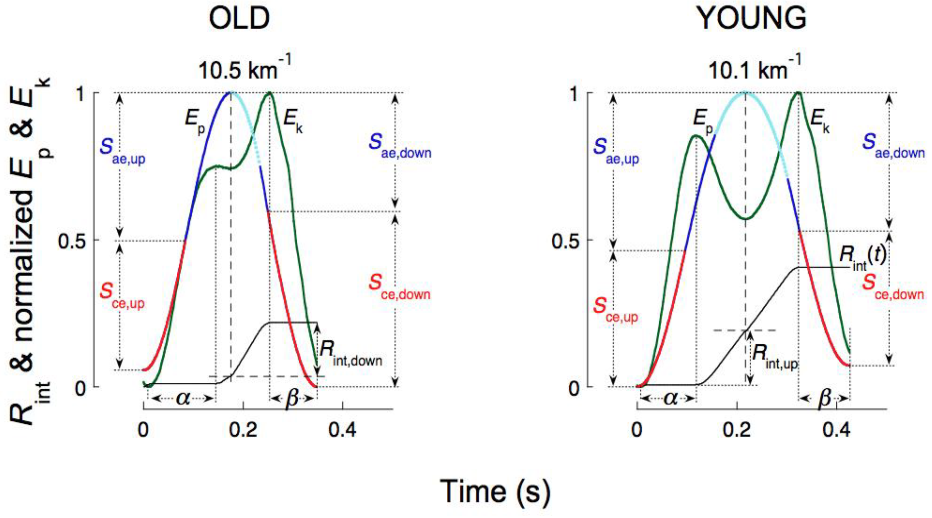 Symmetry 02 01270 g024