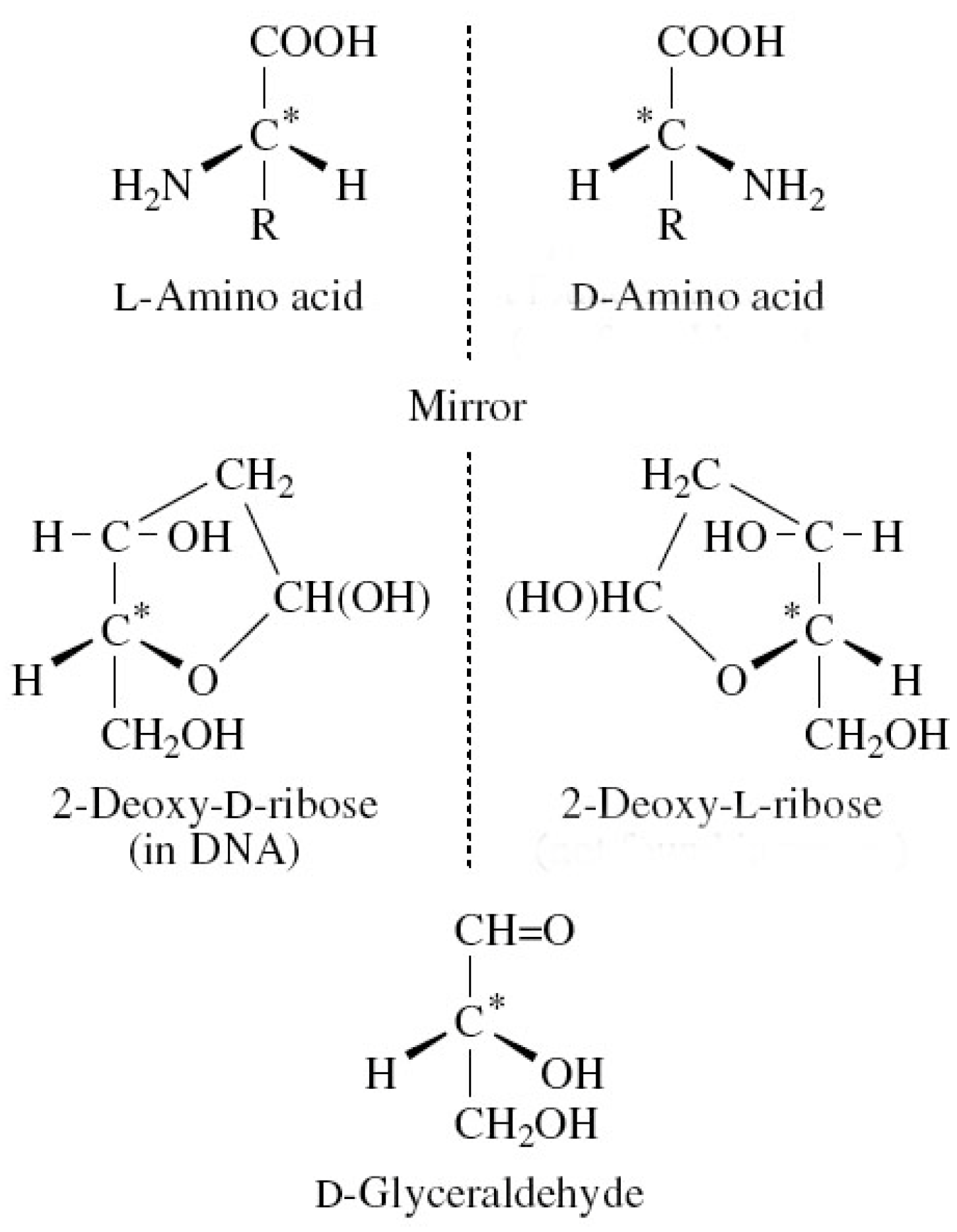 Symmetry 02 01450 g001