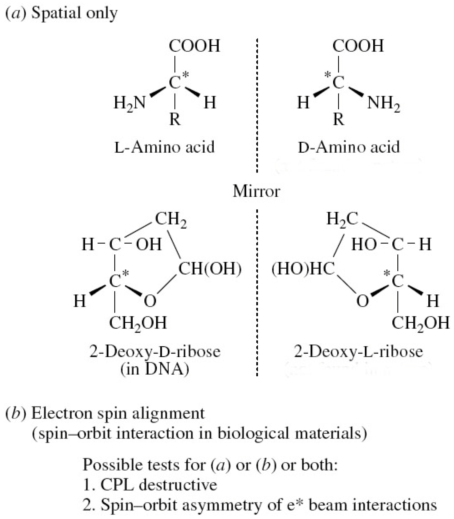 Symmetry 02 01450 g002